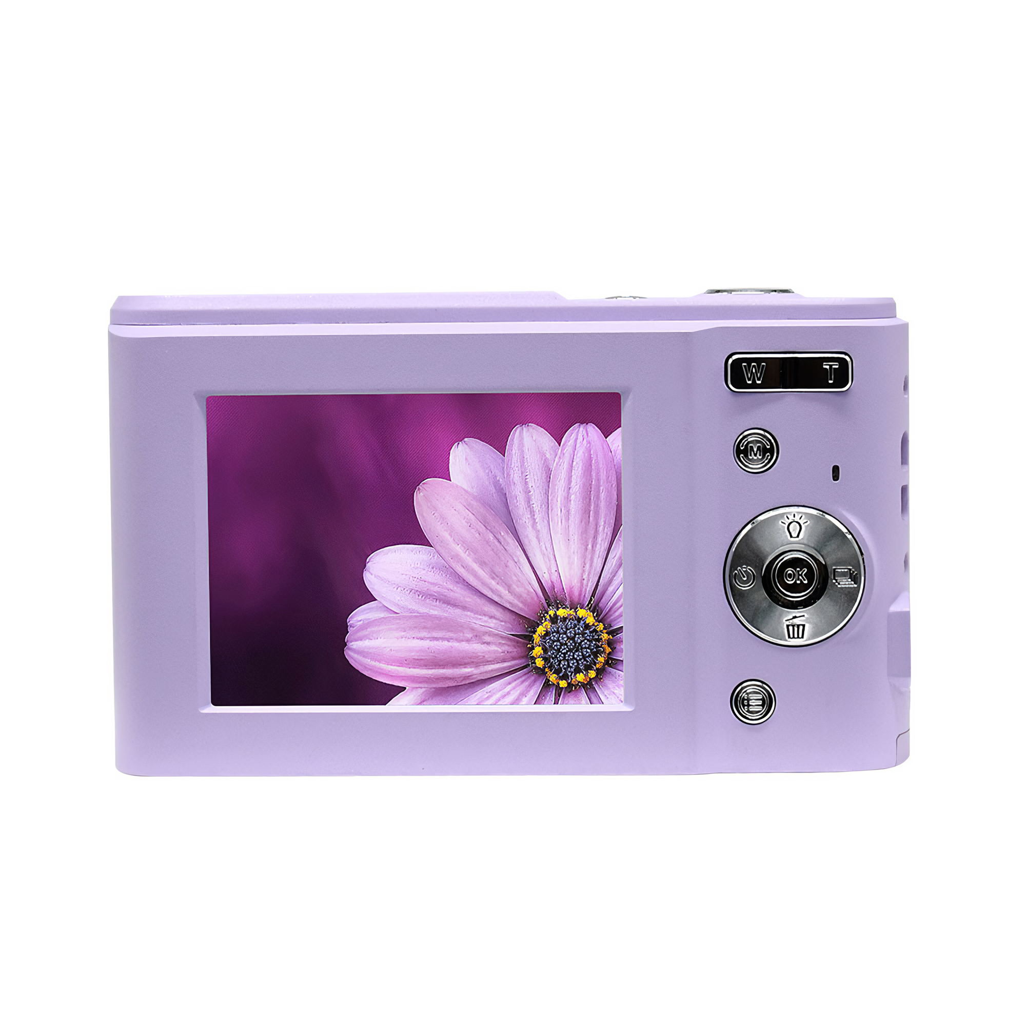 Eine lavendelfarbene Digitalkamera zeigt eine Nahaufnahme einer lila Gänseblümchen. Die Kamera hat Knöpfe und einen Bildschirm.