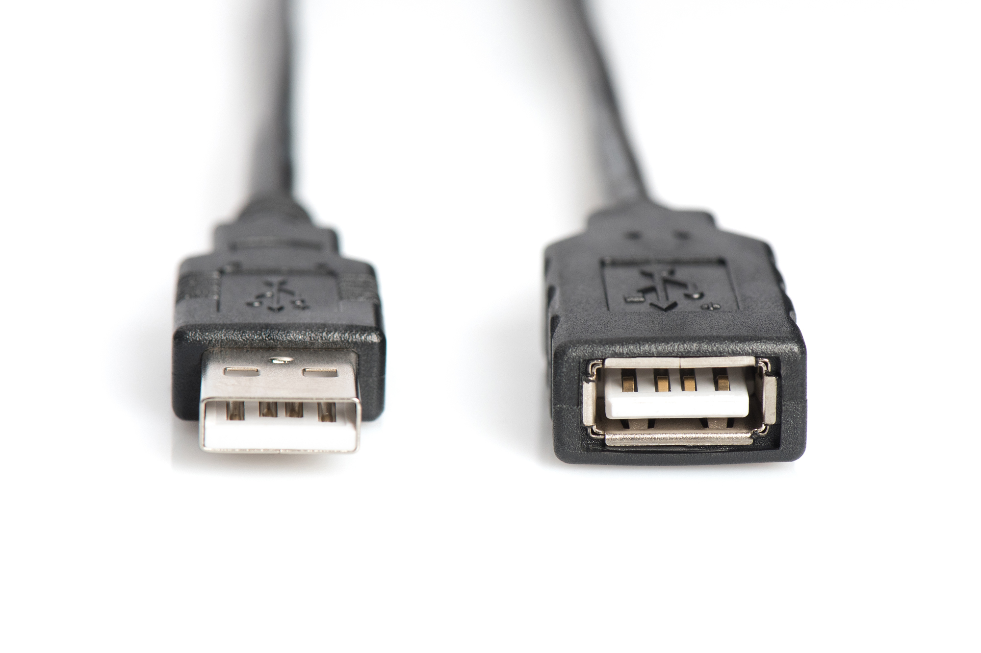 Due connettori USB neri su sfondo bianco. Uno è USB-A, l'altro è USB-B. Entrambi sono a fuoco.