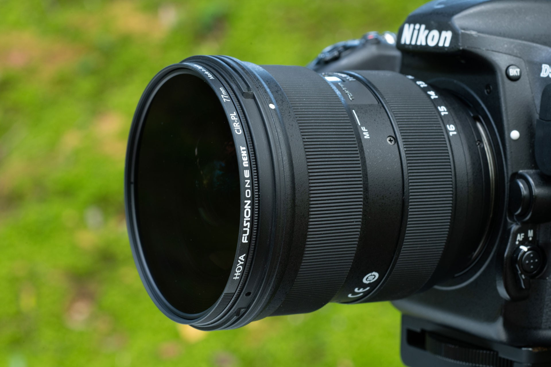 Nahaufnahme eines Nikon-Kameraobjektivs mit Hoya-Filter. Der Hintergrund ist verschwommenes grünes Gras.
