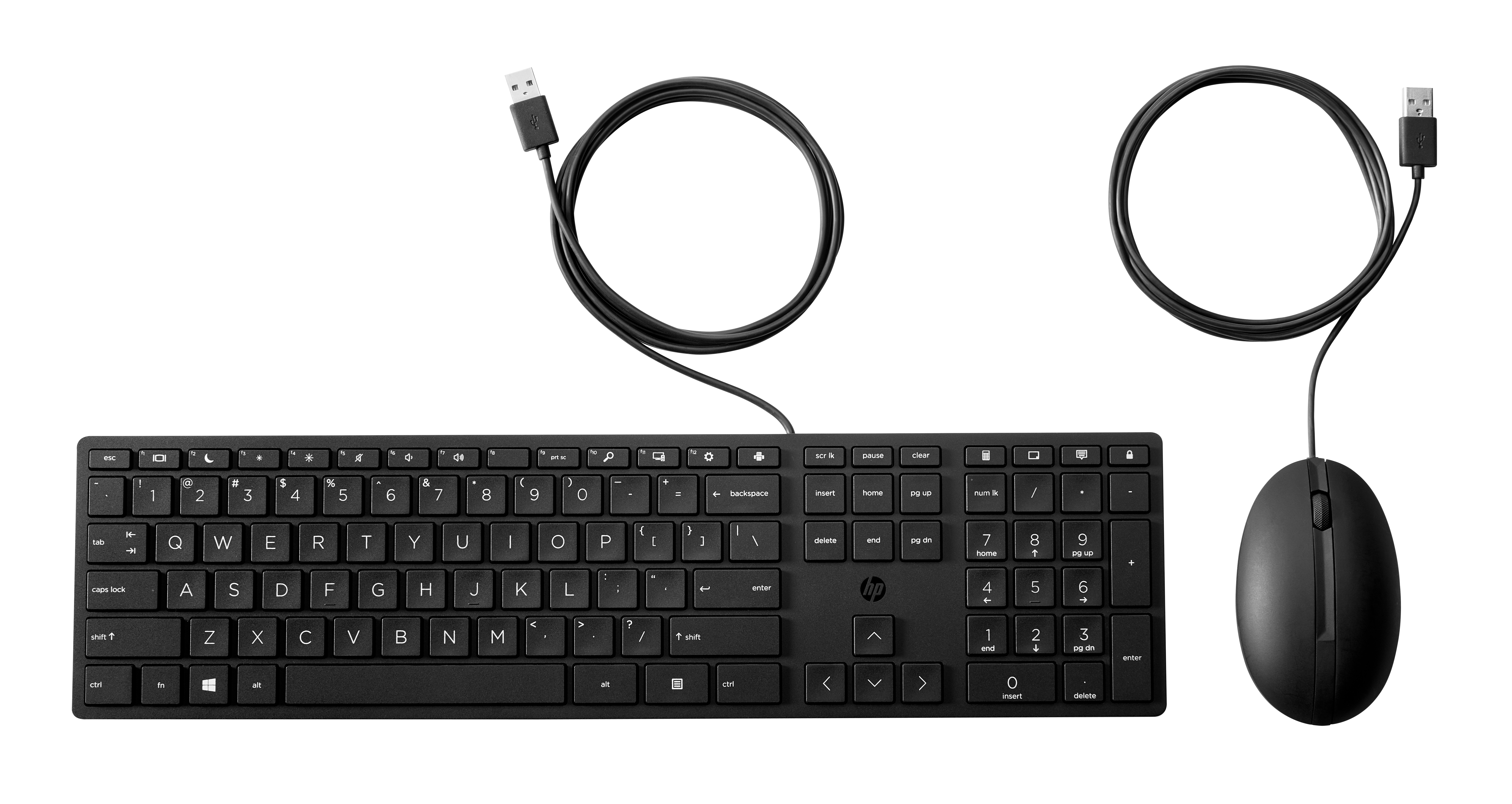 Un set tastiera e mouse HP nero su sfondo bianco. I cavi collegano entrambi i dispositivi all'USB.