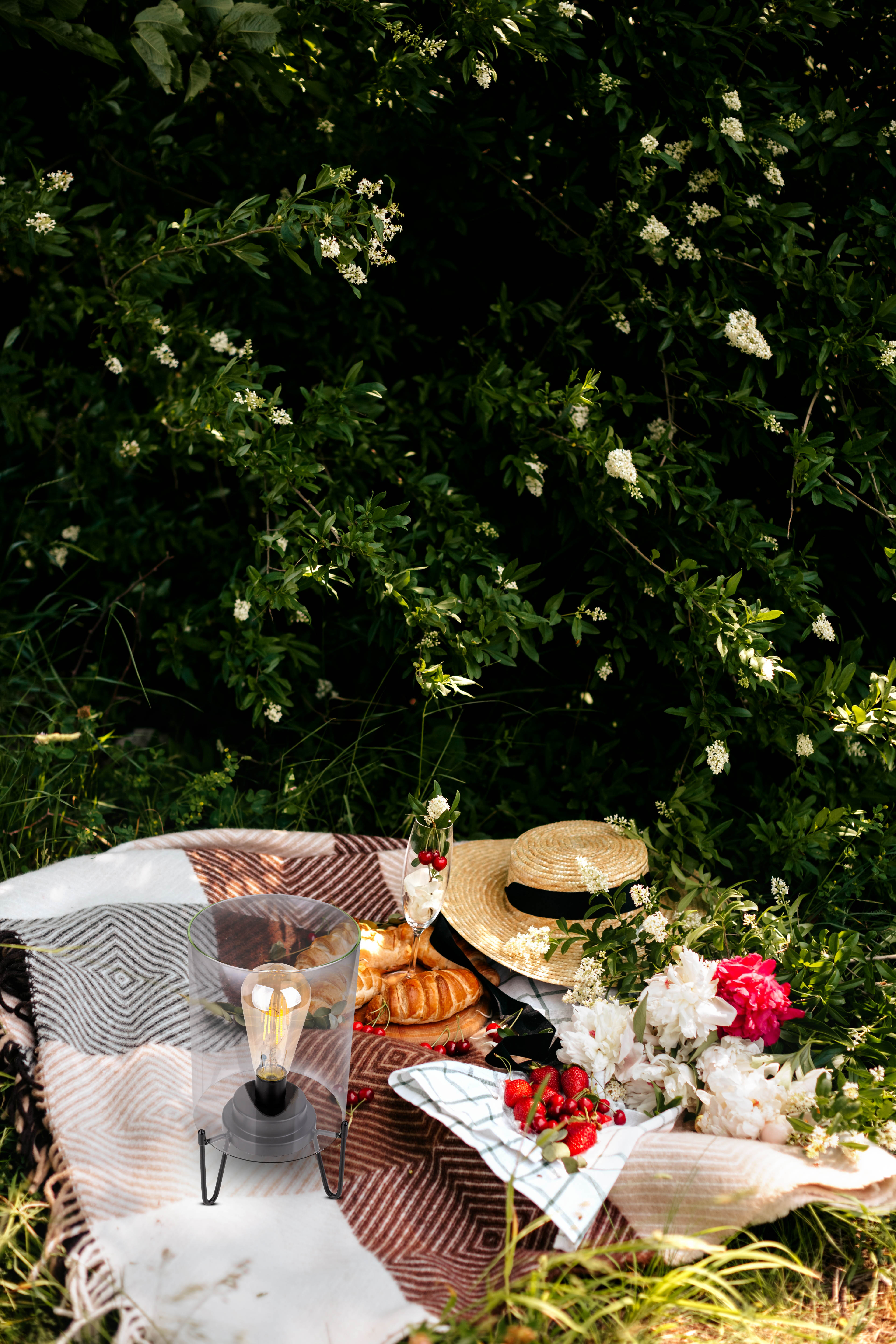 Picknick-Szene mit Decke, Lampe, Blumen und Essen. Grünes Laub im Hintergrund. Strohhut und Kirschen.