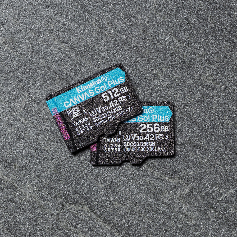 Twee zwarte Kingston geheugenkaarten op een grijze, getextureerde ondergrond. Kaarten hebben blauwe en witte tekst, 512GB en 256GB.