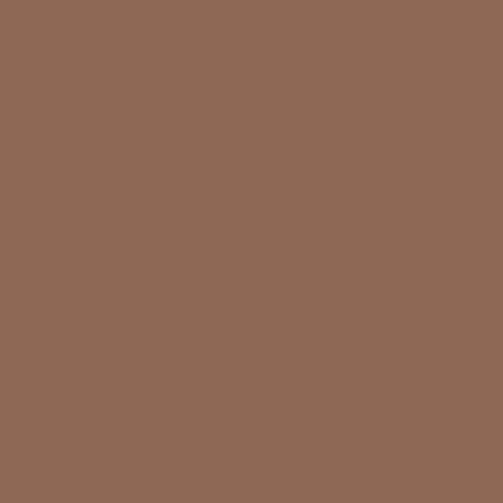 Vollständig brauner Hintergrund füllt den gesamten Rahmen. Die Farbe ist ein gedämpfter, erdiger Ton, ähnlich einem hellen Schokoladenton.