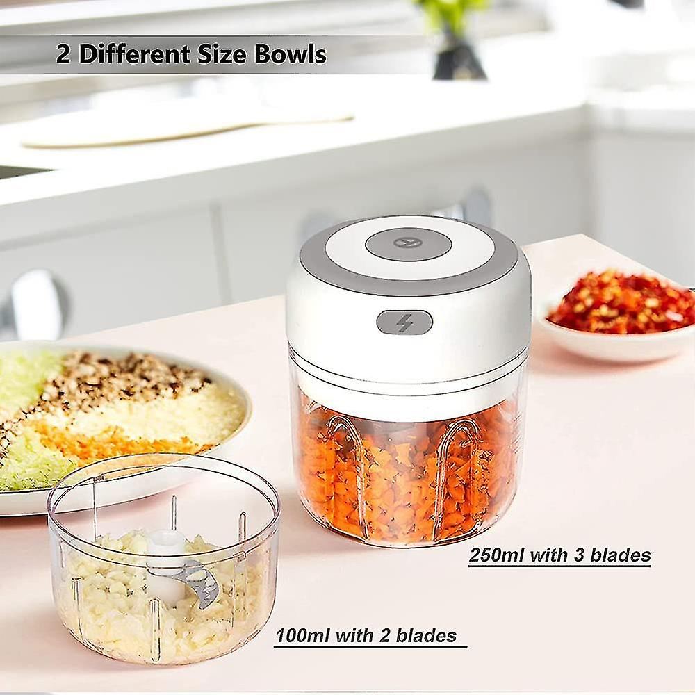 Das Bild zeigt einen weißen und grauen Foodprocessor mit zwei unterschiedlich großen Schüsseln, eine mit gehackten Karotten und die andere mit Zwiebeln.