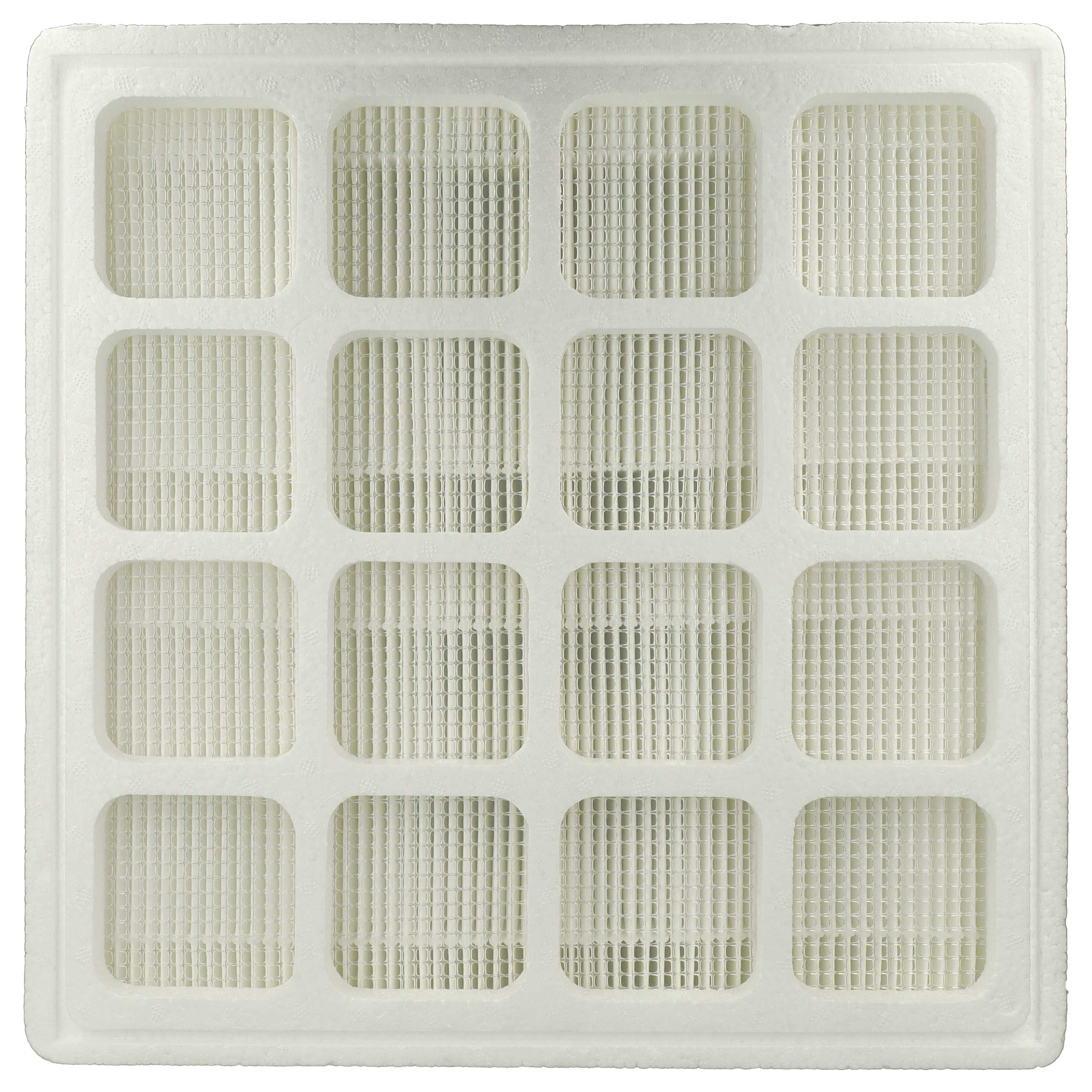 Ein weißer Luftfilter mit Gittermuster. Der Filter hat 16 quadratische Abschnitte mit feinem Netz.