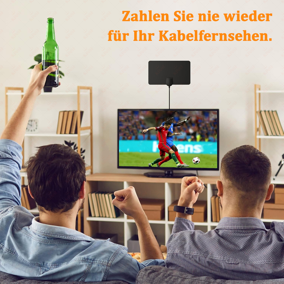 Zwei Männer schauen Fußball im Fernsehen, einer hält eine Bierflasche. Über dem Fernseher befindet sich eine schwarze Antenne.