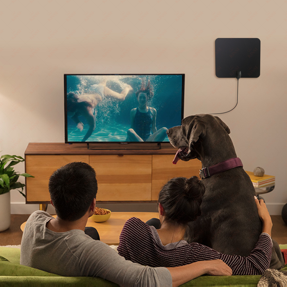 Ein Paar und ein Hund schauen fern. Das Fernsehen zeigt schwimmende Menschen. Auf dem Tisch steht eine Schüssel mit Snacks.