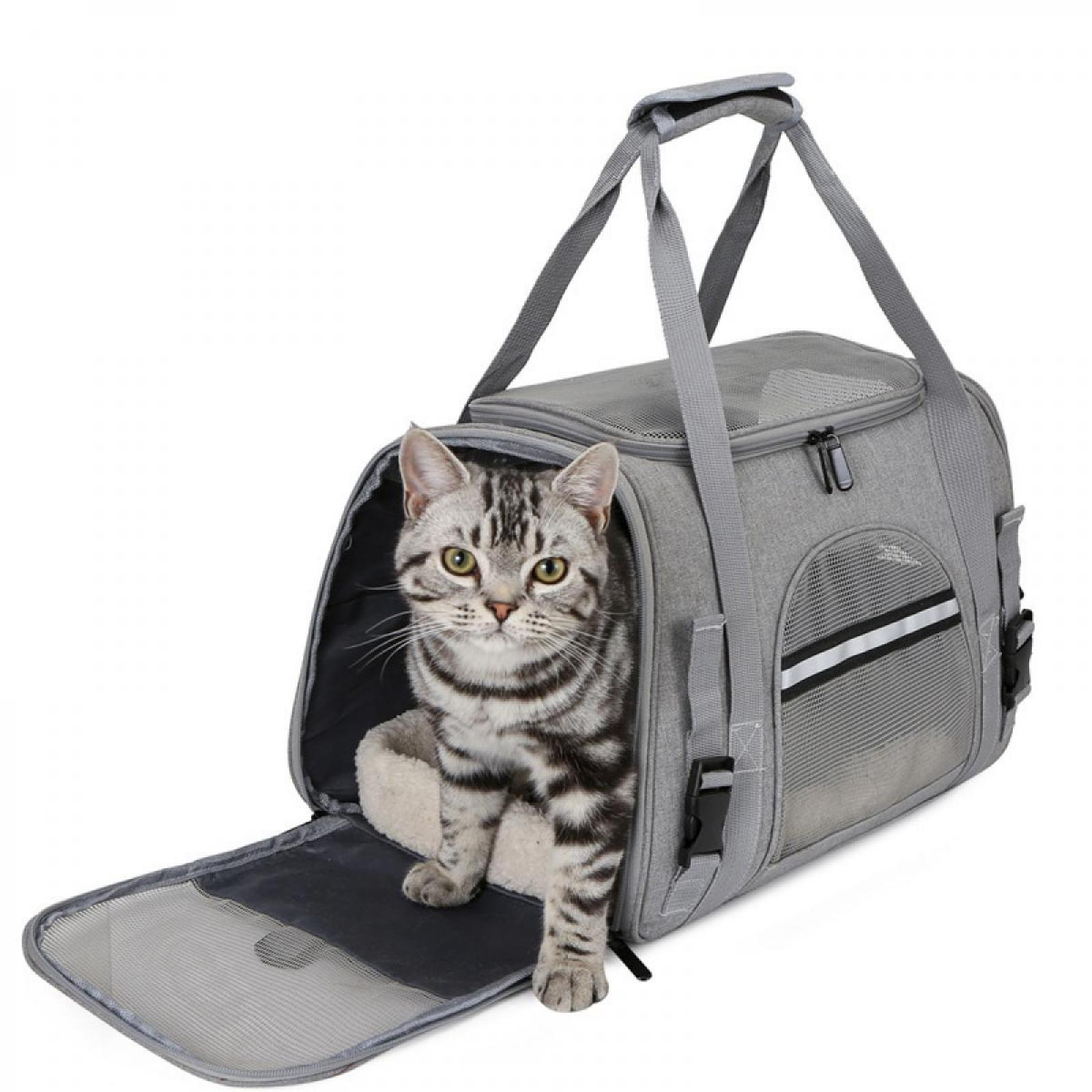Eine graue getigerte Katze sitzt in einer grauen Transportbox. Die Box ist offen. Die Katze schaut in die Kamera.
