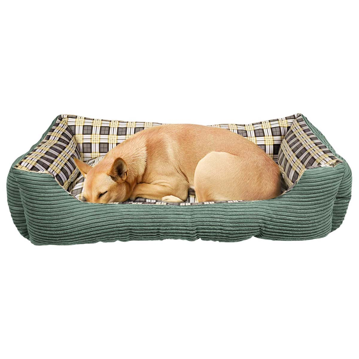 Ein hellbrauner Hund schläft zusammengerollt in einem grünen Hundebett mit einem karierten Muster im Inneren.