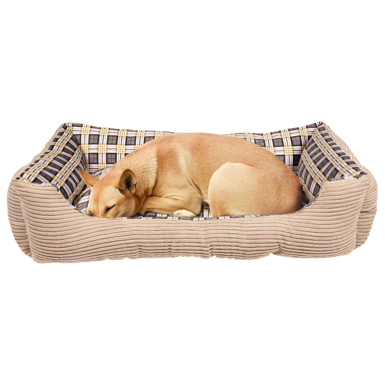Ein hellbrauner Hund schläft zusammengerollt in einem beige-karierten Hundebett.