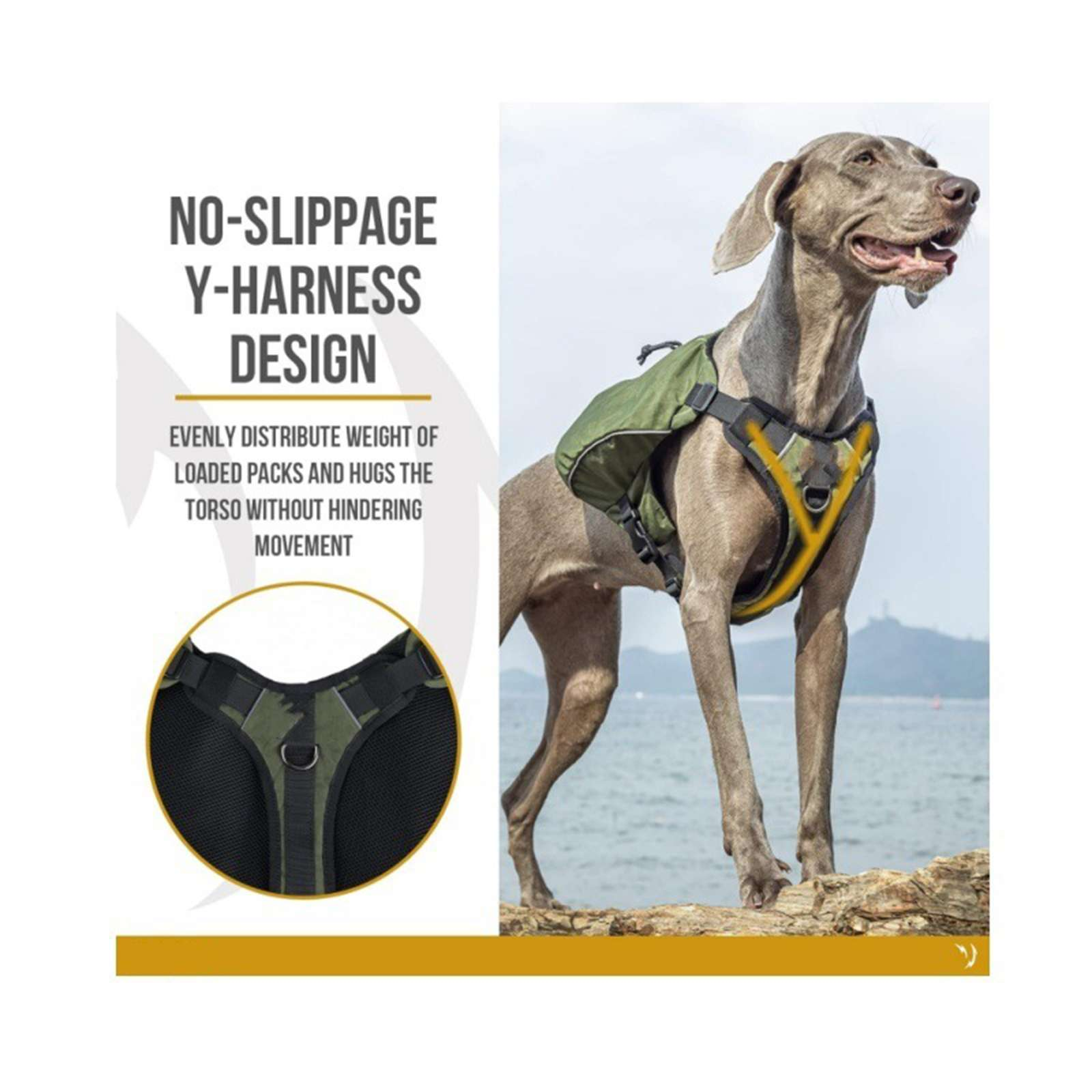 Ein Hund mit grün-gelbem Geschirr steht auf einem Felsen. Text: 'Rutschfreies Y-Geschirr-Design'.