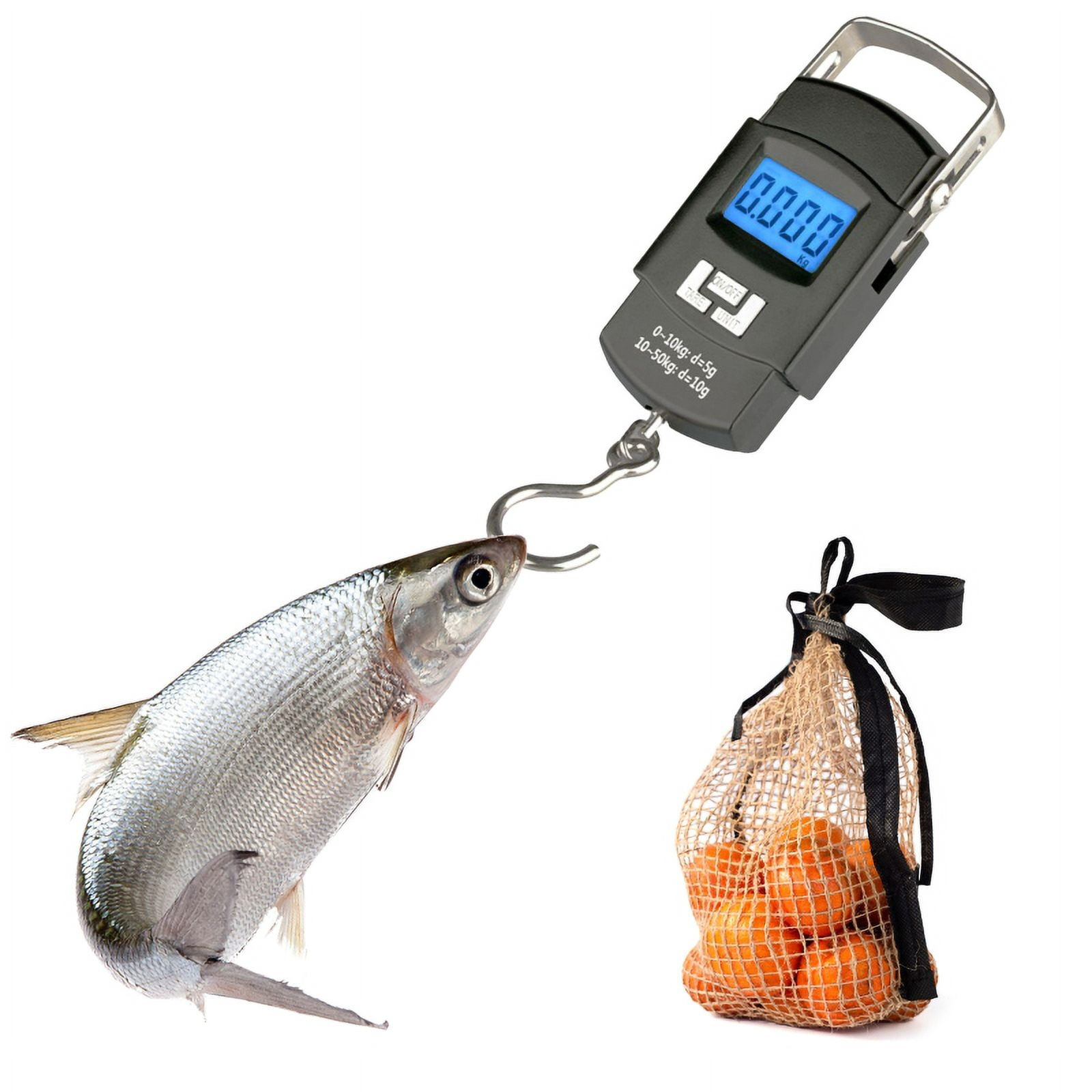 Ein Fisch ist an einer digitalen Waage befestigt. Orangen in einem Netzbeutel rechts. Die Waage zeigt 0,000 kg.