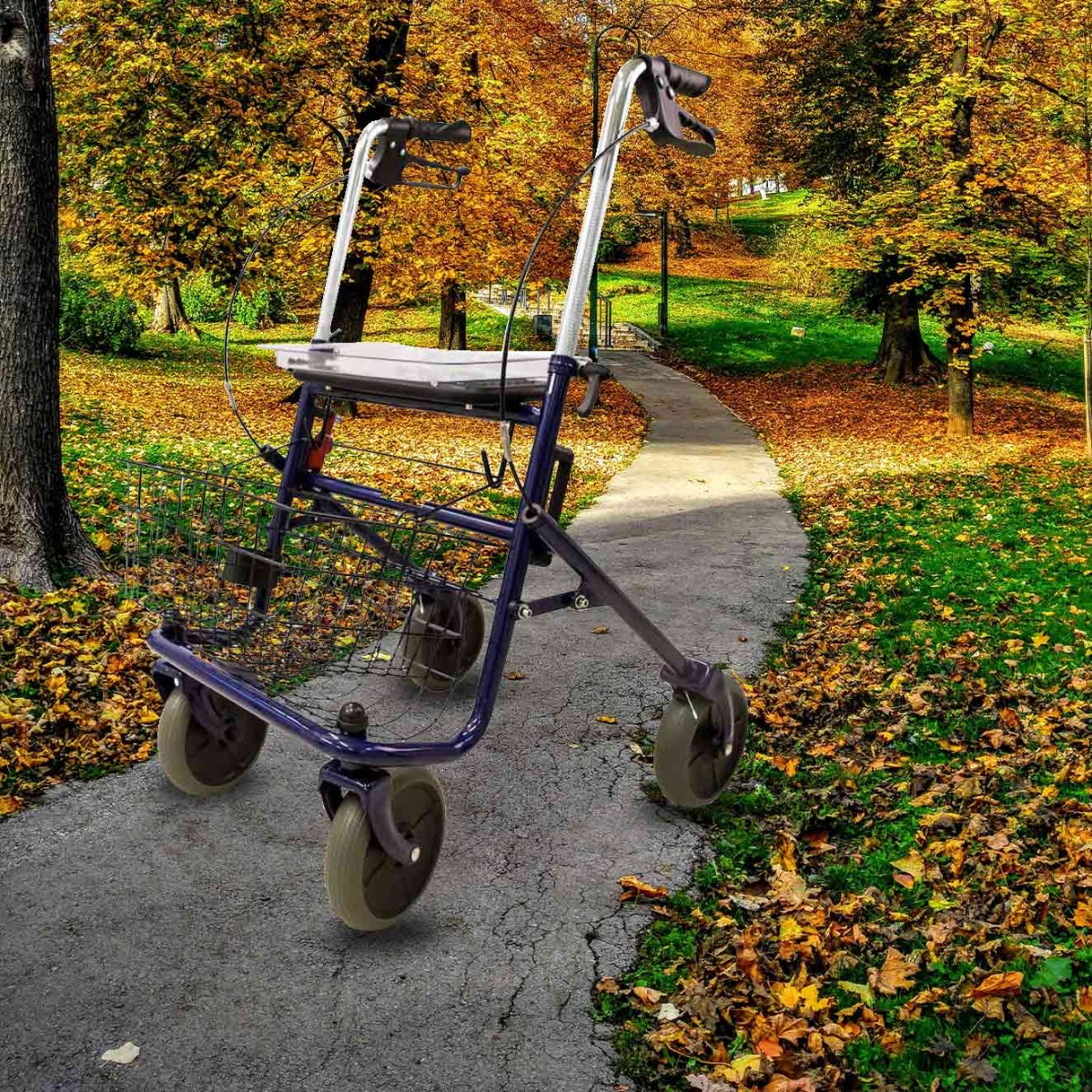 Ein blauer Rollator mit vier Rädern steht auf einem gepflasterten Weg in einem Park. Herbstblätter liegen auf dem Boden und Bäumen.
