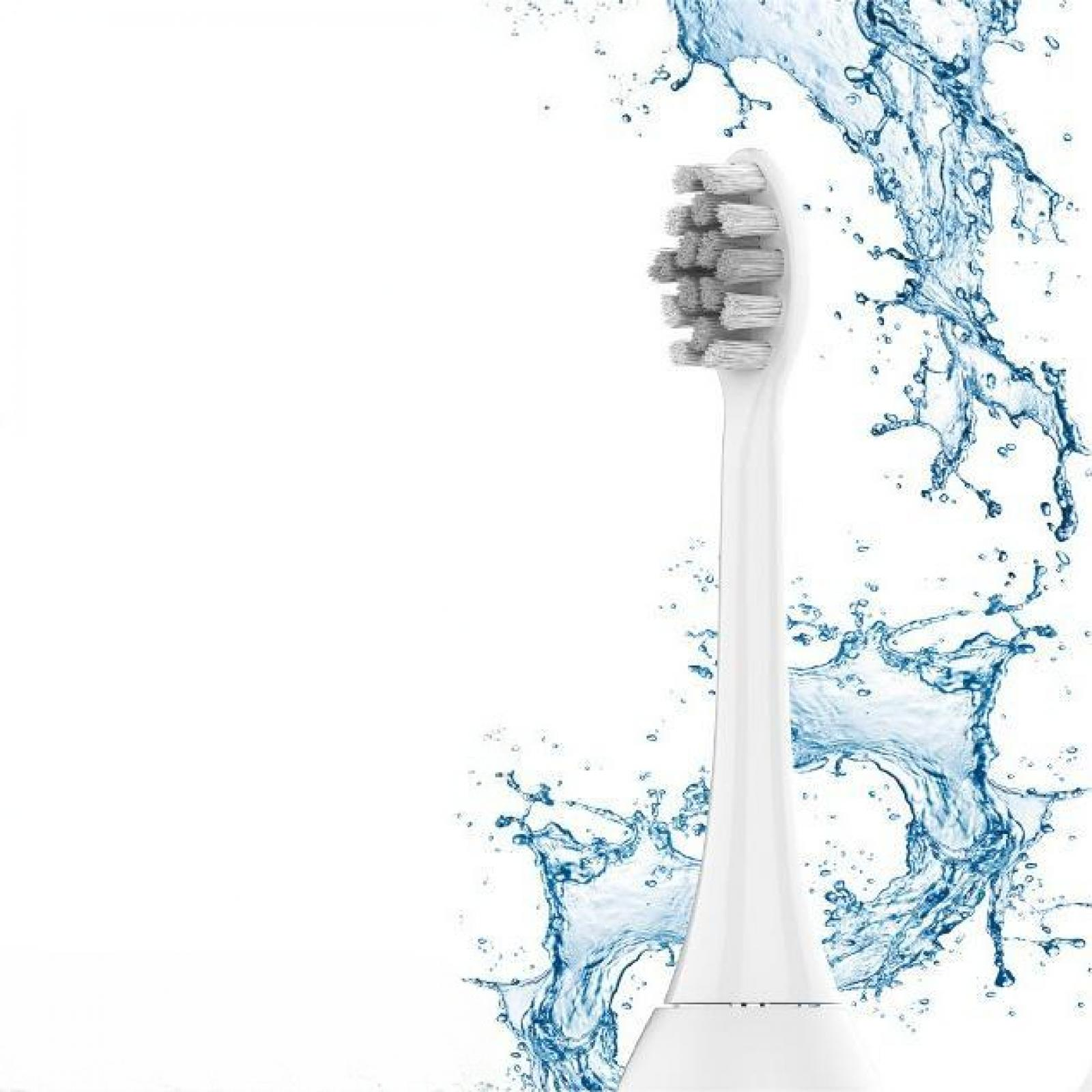 Ein weißer Zahnbürstenkopf mit grauen Borsten vor weißem Hintergrund mit blauen Wasserspritzern.