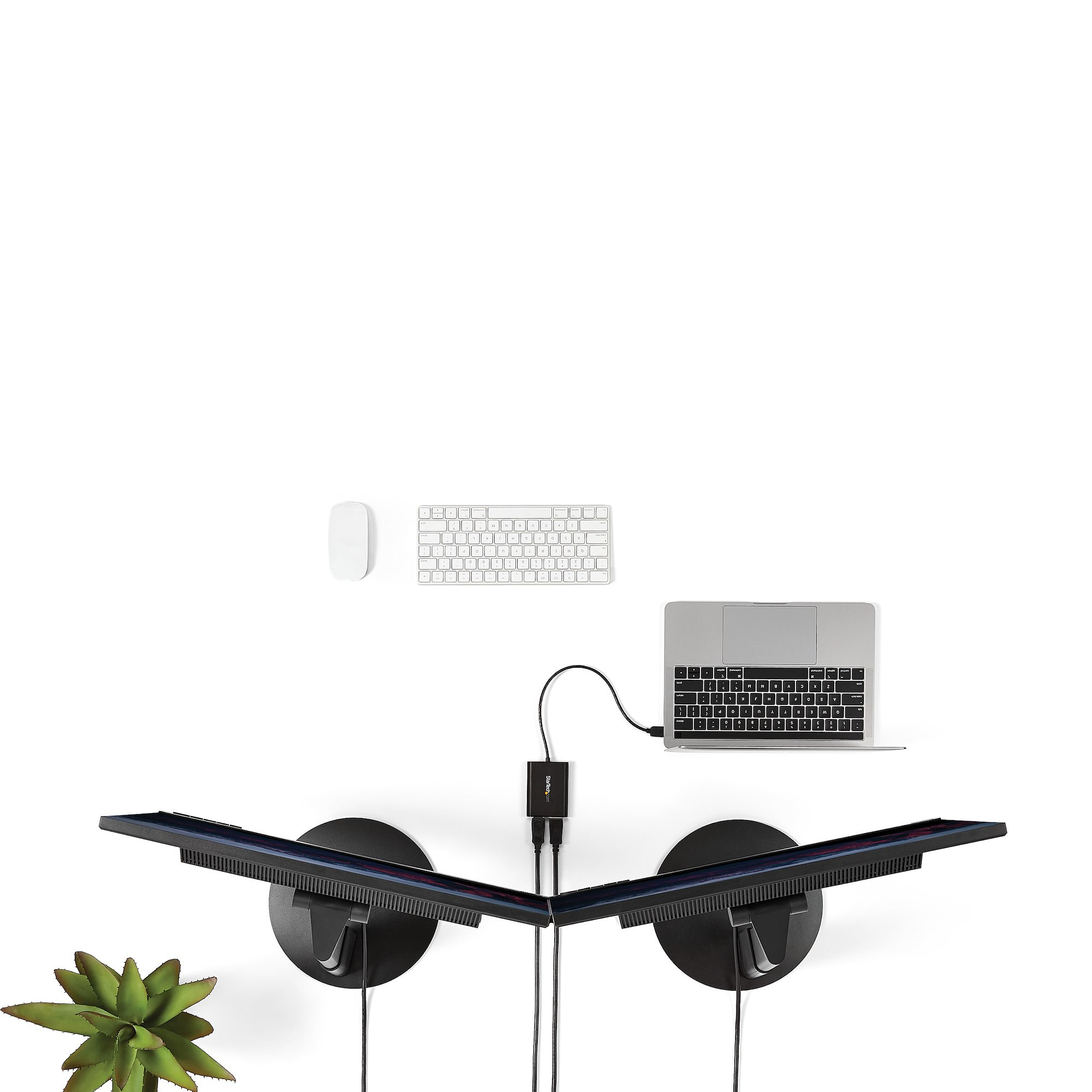 Una configuración con dos monitores, teclado, ratón y un portátil. Una planta suculenta en la esquina inferior izquierda.