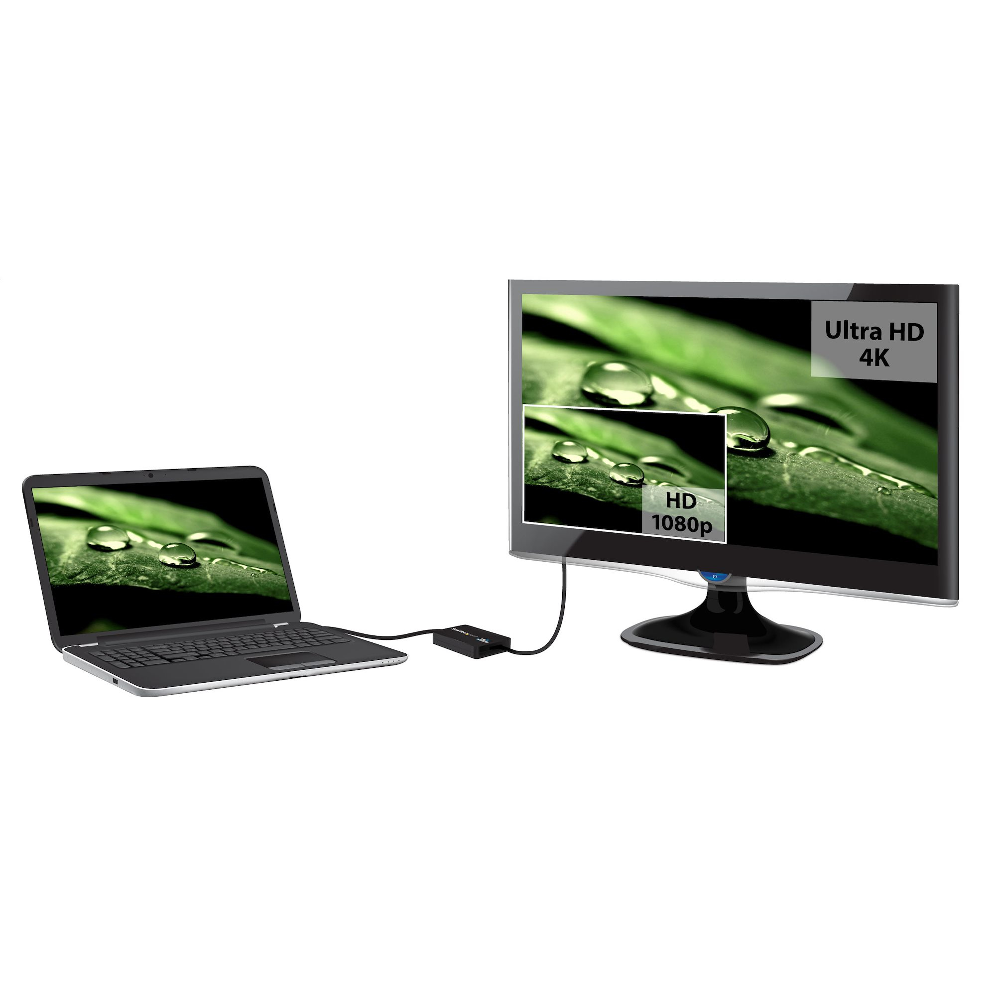 Una laptop conectada a un monitor muestra una hoja con gotas de agua. Muestra Ultra HD 4K y HD 1080p.
