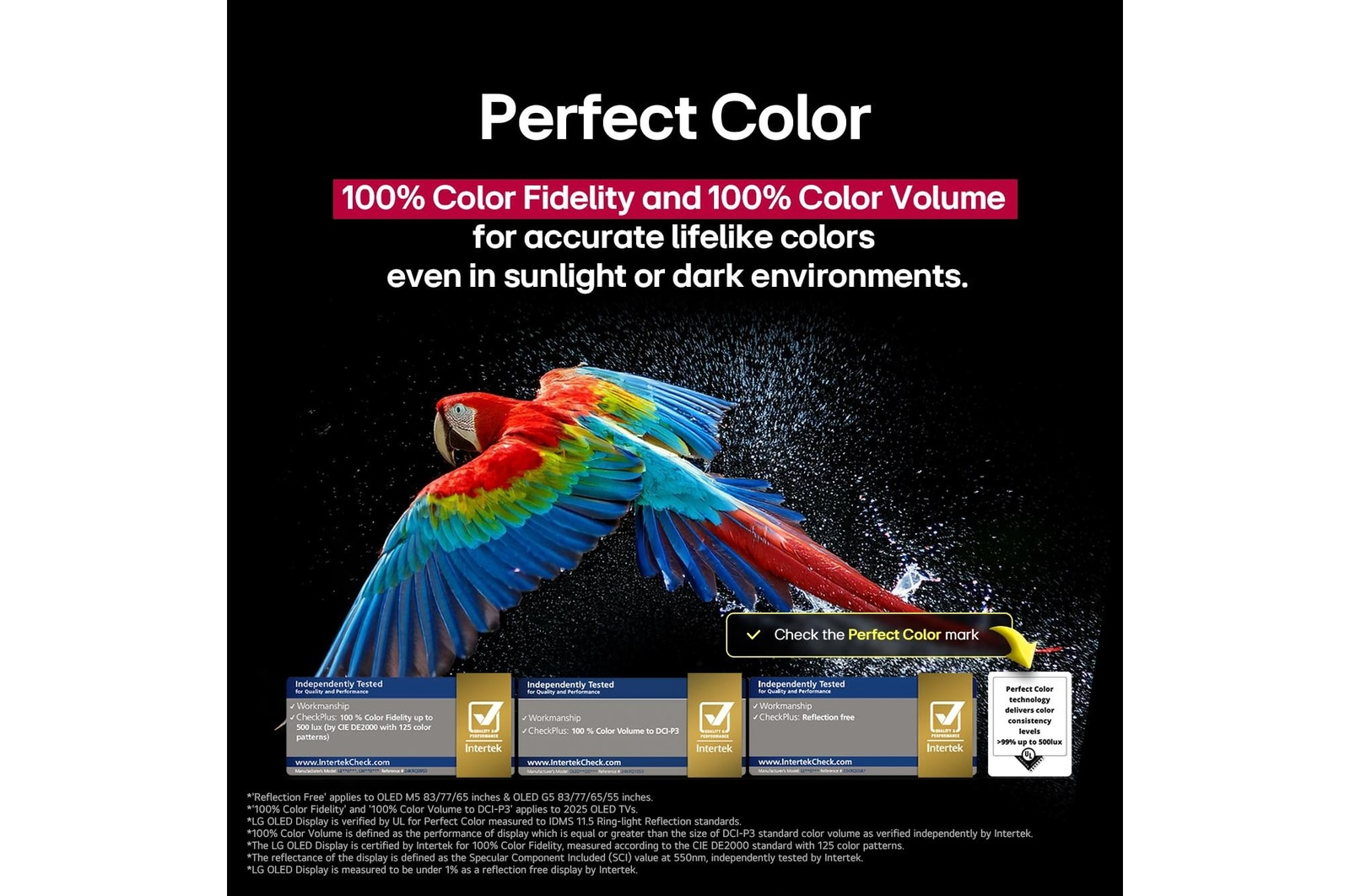 Kolorowa ara leci na czarnym tle. Tekst: 'Perfect Color' opisuje wierność kolorów i ich objętość.