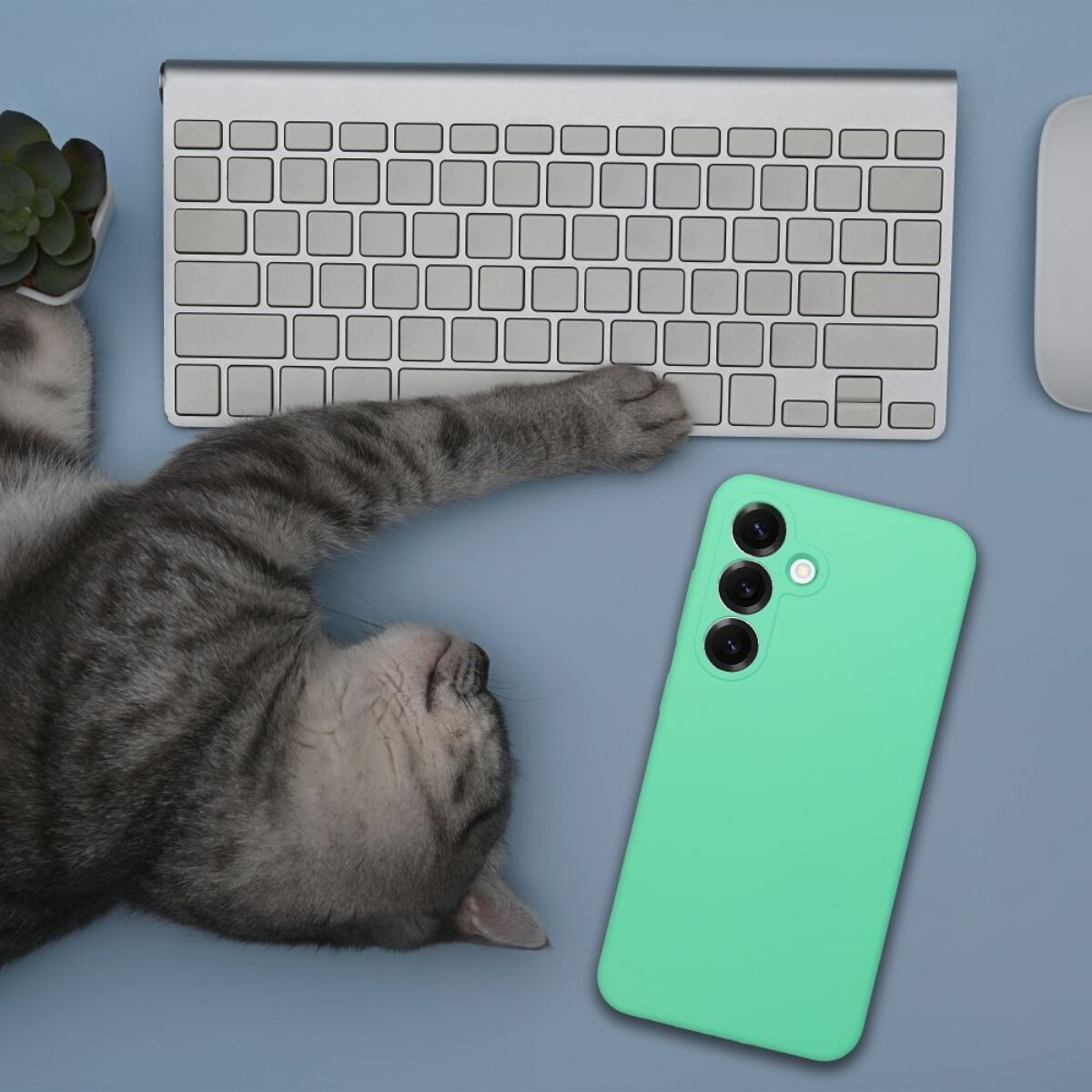Eine graue Katze liegt auf einem blauen Schreibtisch mit Tastatur, Maus und grünem Telefon. Katzentatze liegt auf der Tastatur.