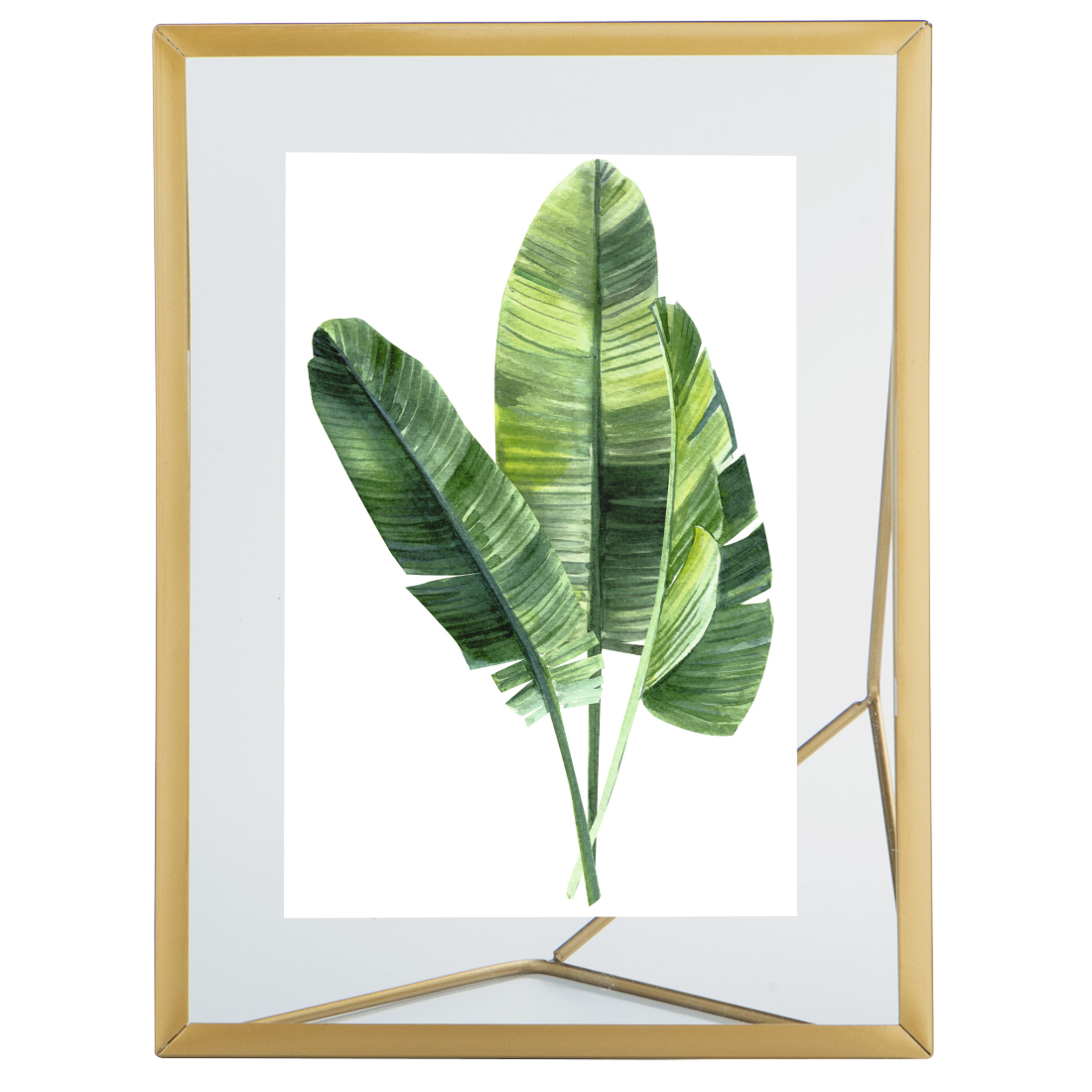 Aquarellmalerei von grünen Bananenblättern in einem Goldrahmen. Die Blätter haben verschiedene Grüntöne und sind auf weißem Hintergrund.