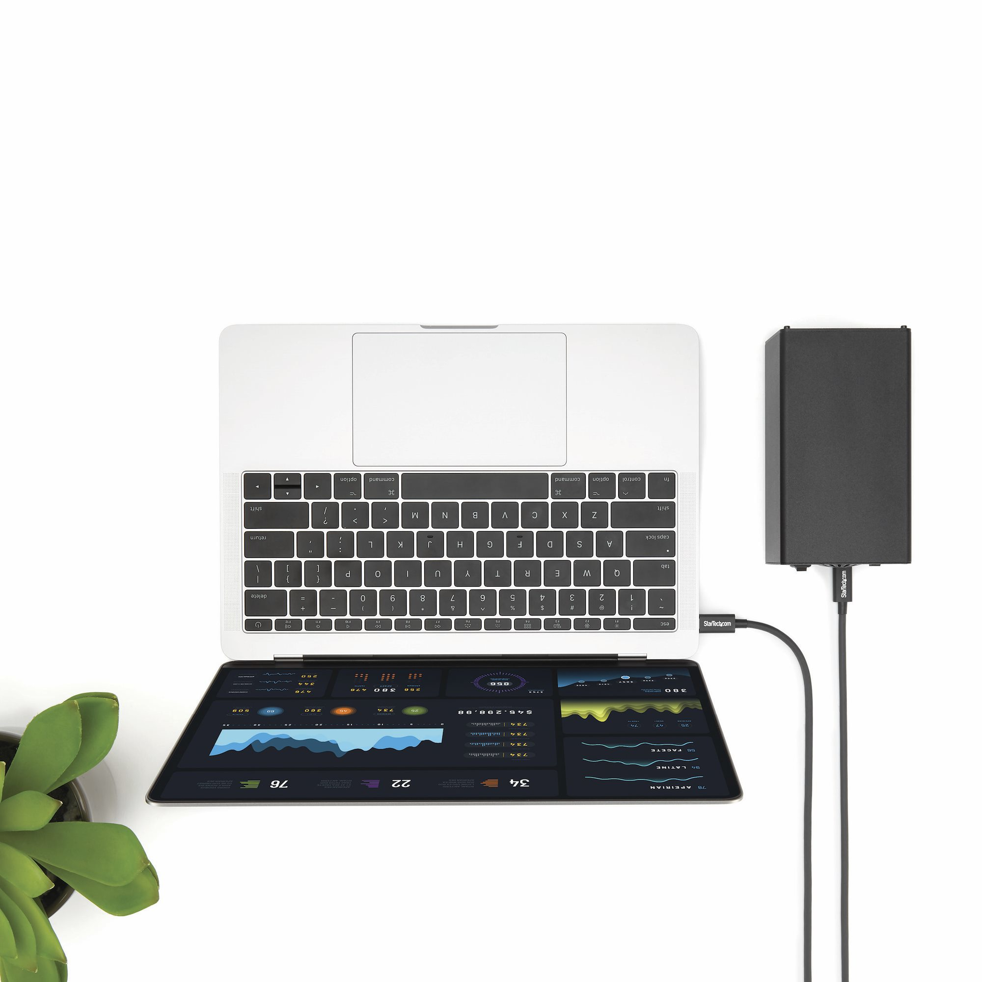 Laptop con disco rigido nero collegato. Il display mostra l'analisi dei dati. Pianta verde nell'angolo. Sfondo bianco.