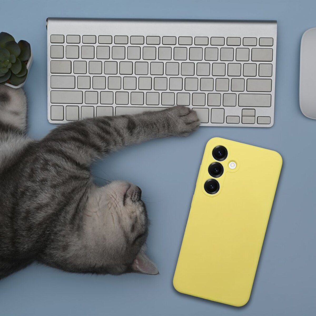 Eine graue Katze liegt auf einem blauen Schreibtisch mit Tastatur, Maus, gelbem Telefon und Pflanze. Die Pfote der Katze liegt auf der Tastatur.