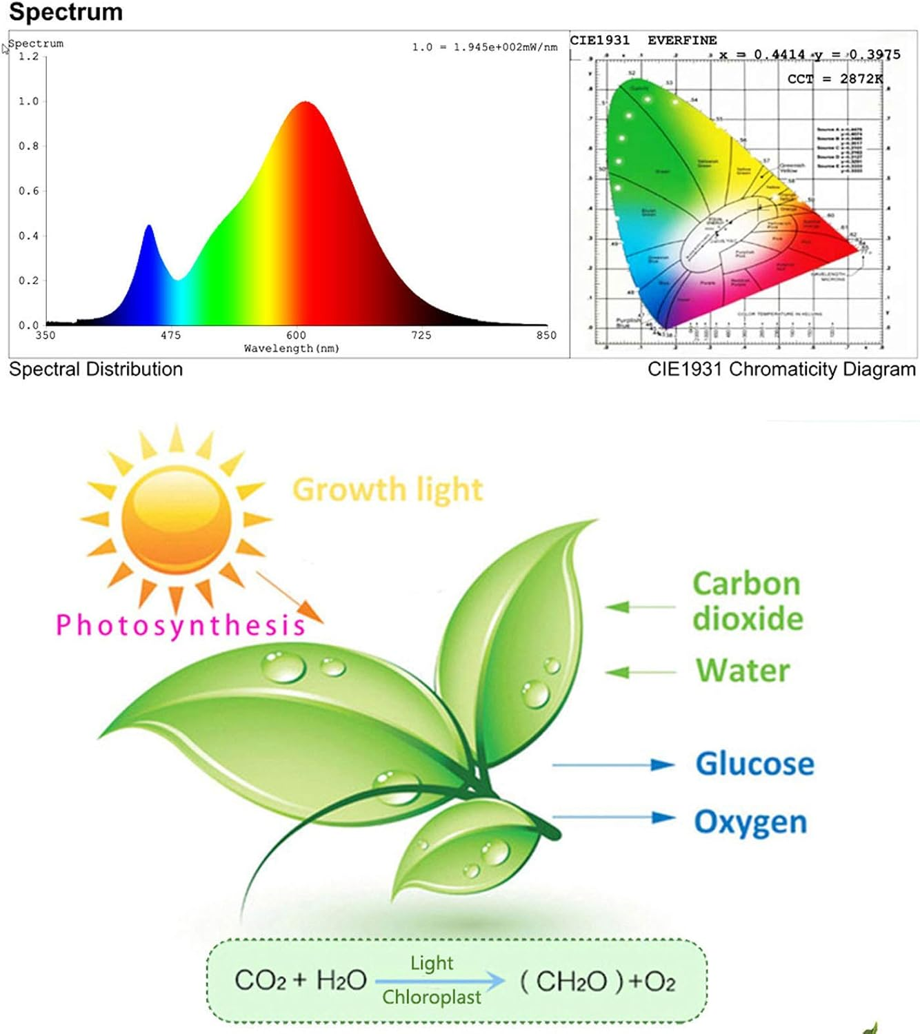 Diagramme zeigen Spektrum, Farbe und Photosynthese. Eine Sonnenillustration, Blätter und chemische Reaktionen sind ebenfalls abgebildet.