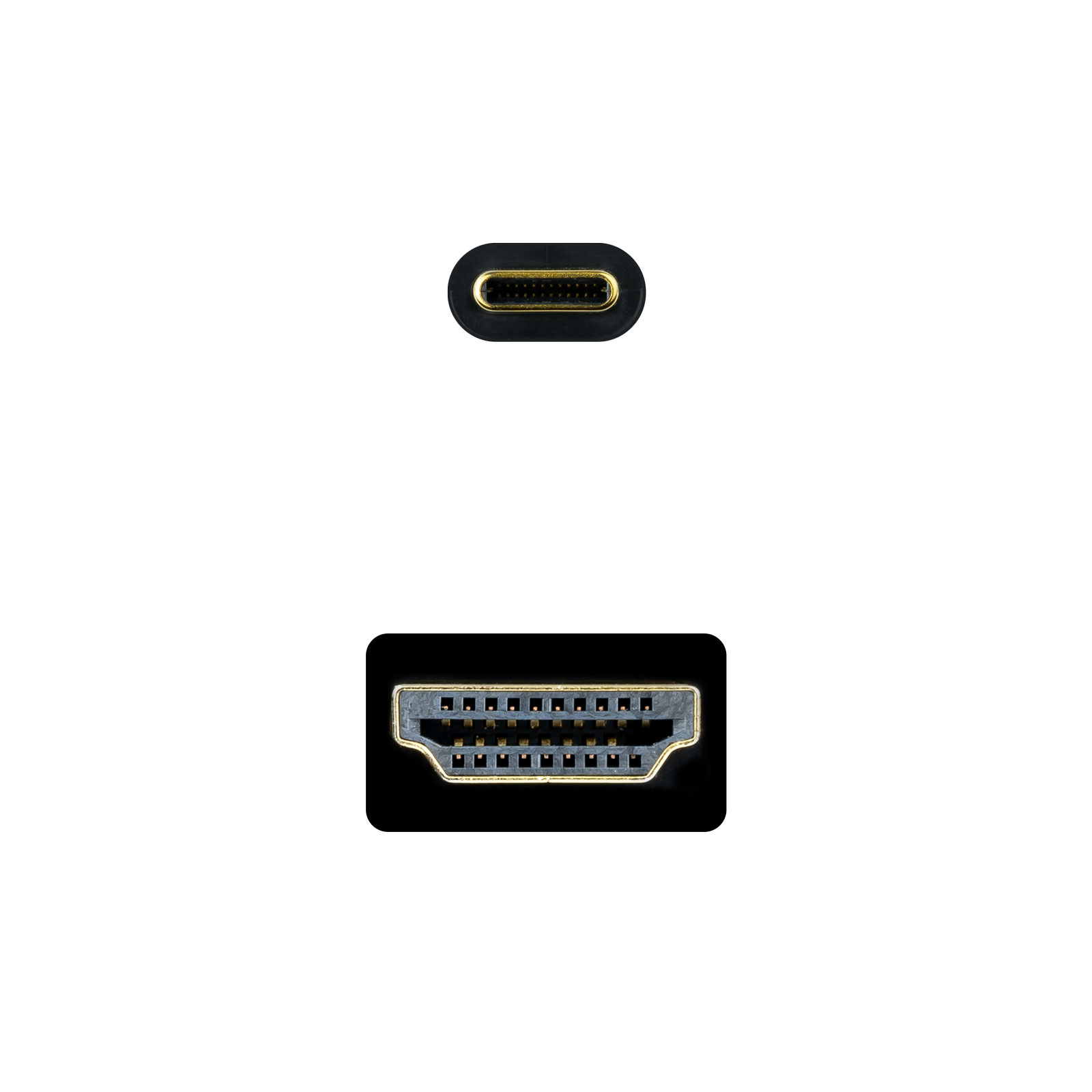 Zwei schwarze rechteckige Stecker mit Goldpins auf weißem Hintergrund. Einer ist USB-C, der andere ein HDMI-Anschluss.