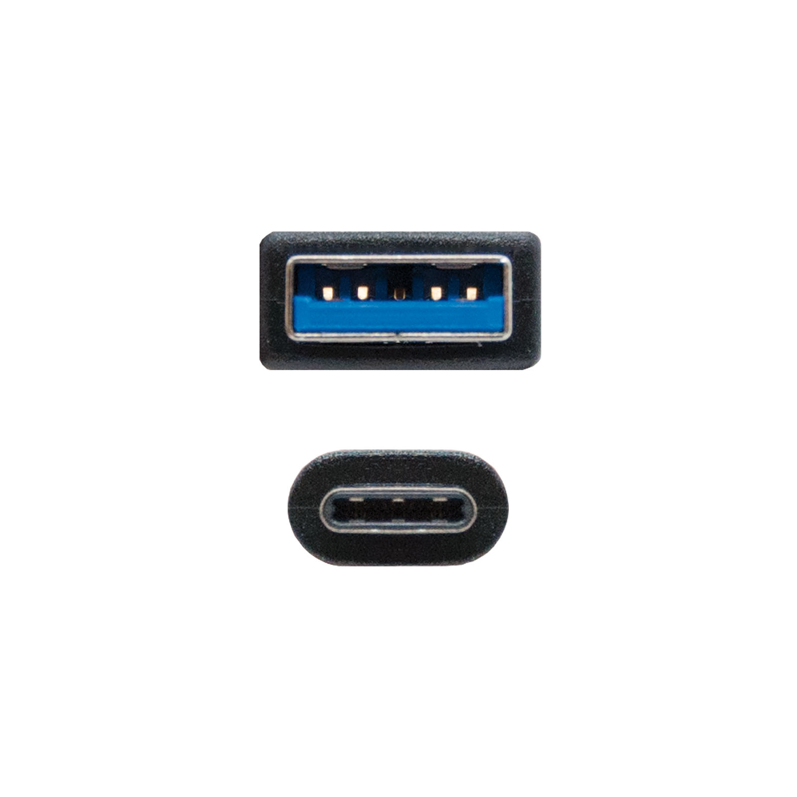 Dos conectores USB negros: un USB-A rectangular y un USB-C ovalado, ambos sobre fondo blanco.