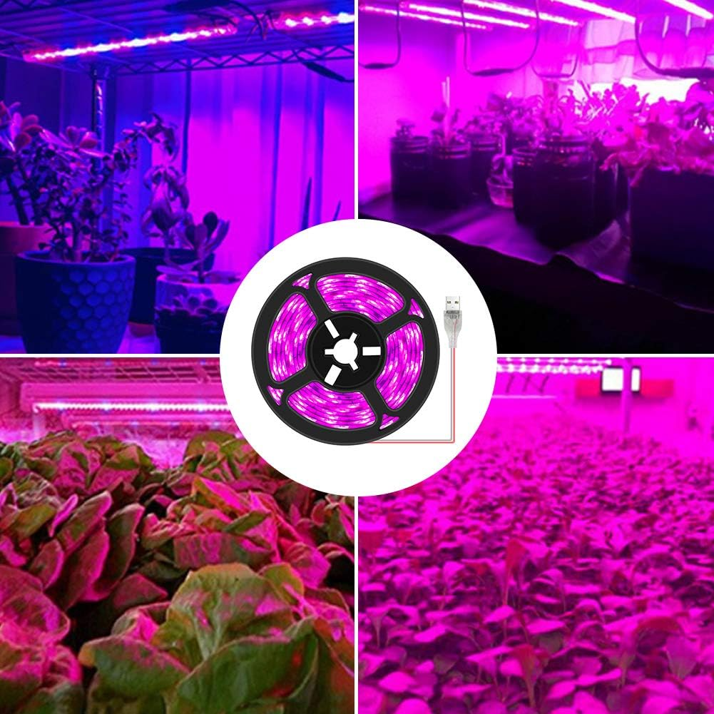 Das Bild zeigt Pflanzen unter violettem Wachstumlicht. Eine Nahaufnahme zeigt eine Rolle mit violetten LED-Streifenlichtern mit USB-Kabel.