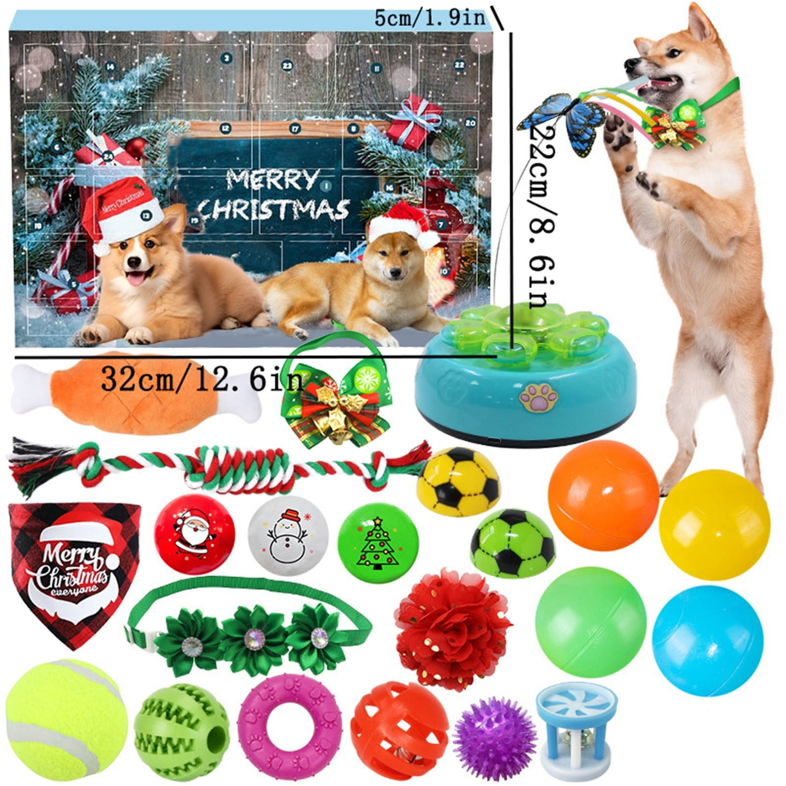 Ein Shiba Inu hält ein Regenbogenspielzeug. Weihnachtsspielzeug und Dekorationen umgeben zwei Hunde und einen Adventskalender.