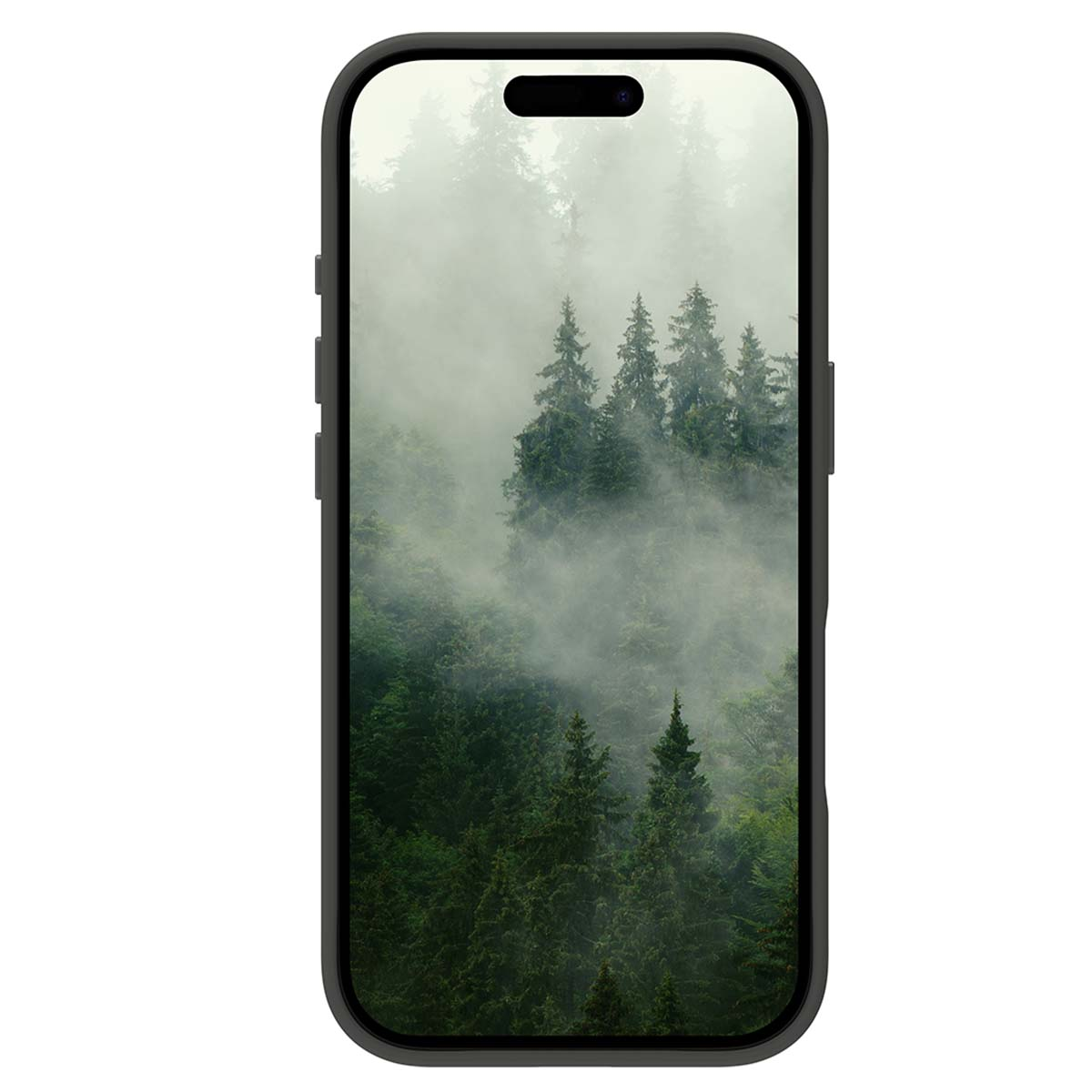 Il telefono mostra una scena di foresta nebbiosa. Densi alberi verdi sono parzialmente oscurati dalla nebbia, creando un paesaggio naturale.