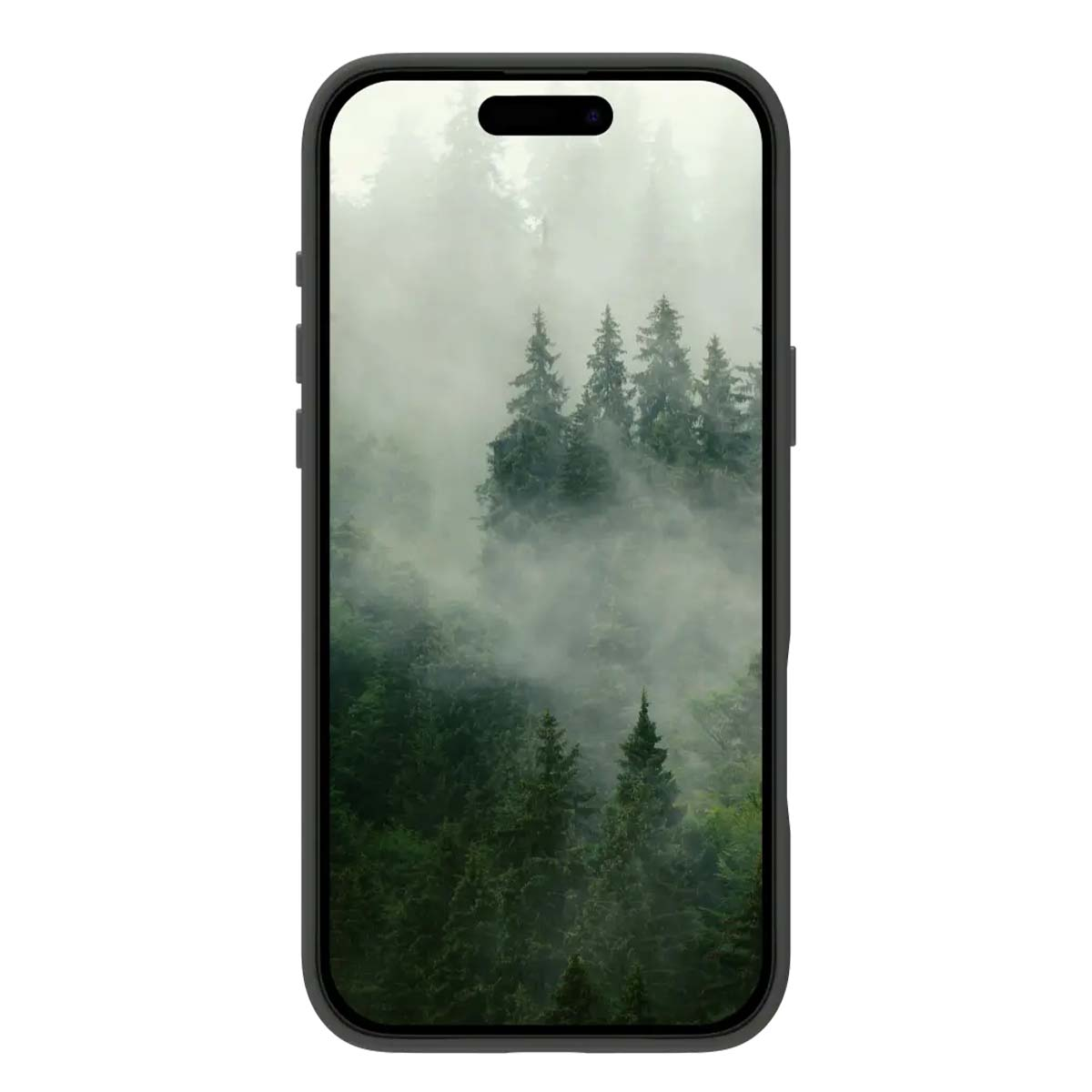 Telefono che mostra una scena di foresta nebbiosa. Alti alberi verdi emergono dalla nebbia. Il telefono è nero e mostra il paesaggio.