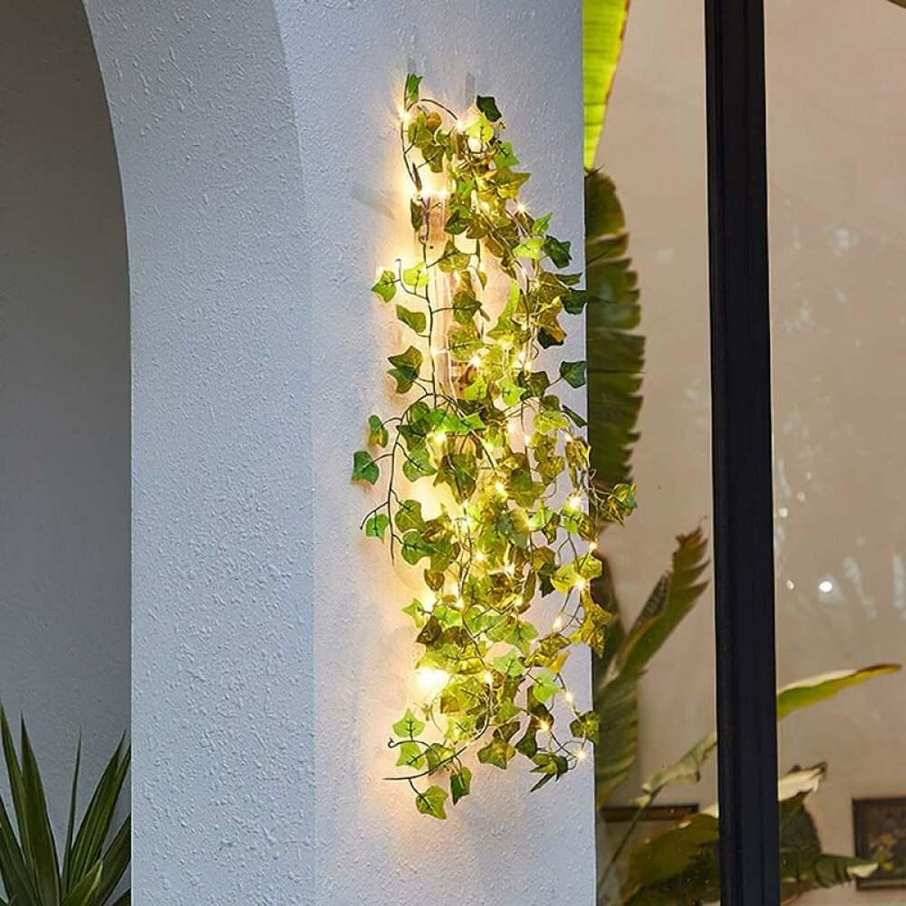 Efeu mit Lichterketten an einer weißen Wand, in der Nähe eines Glasfensters. Grüne Blätter und warmes Licht.