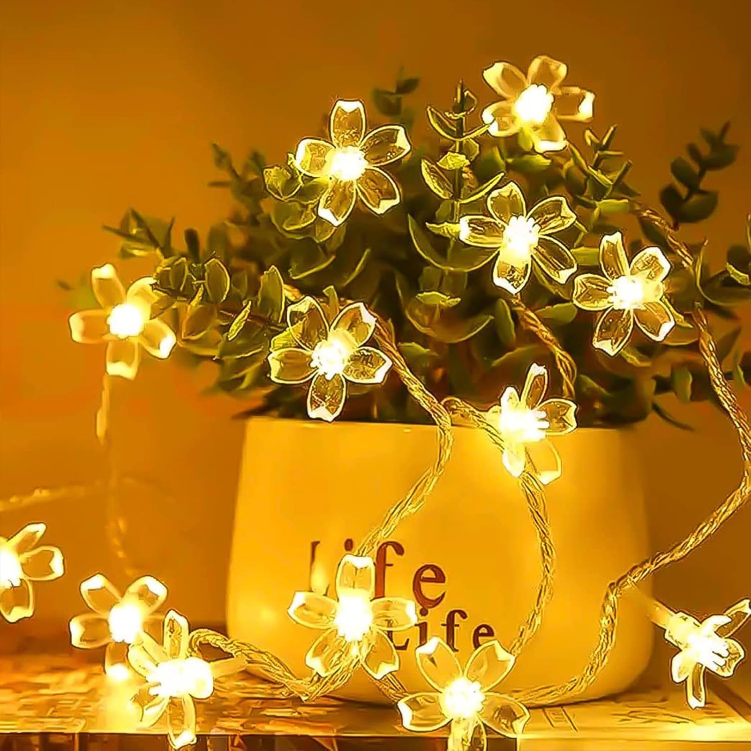 Blütenförmige Lichterketten beleuchten eine Pflanze in einem weißen Topf mit dem Text 'life'. Warmes Licht kontrastiert mit den grünen Blättern.
