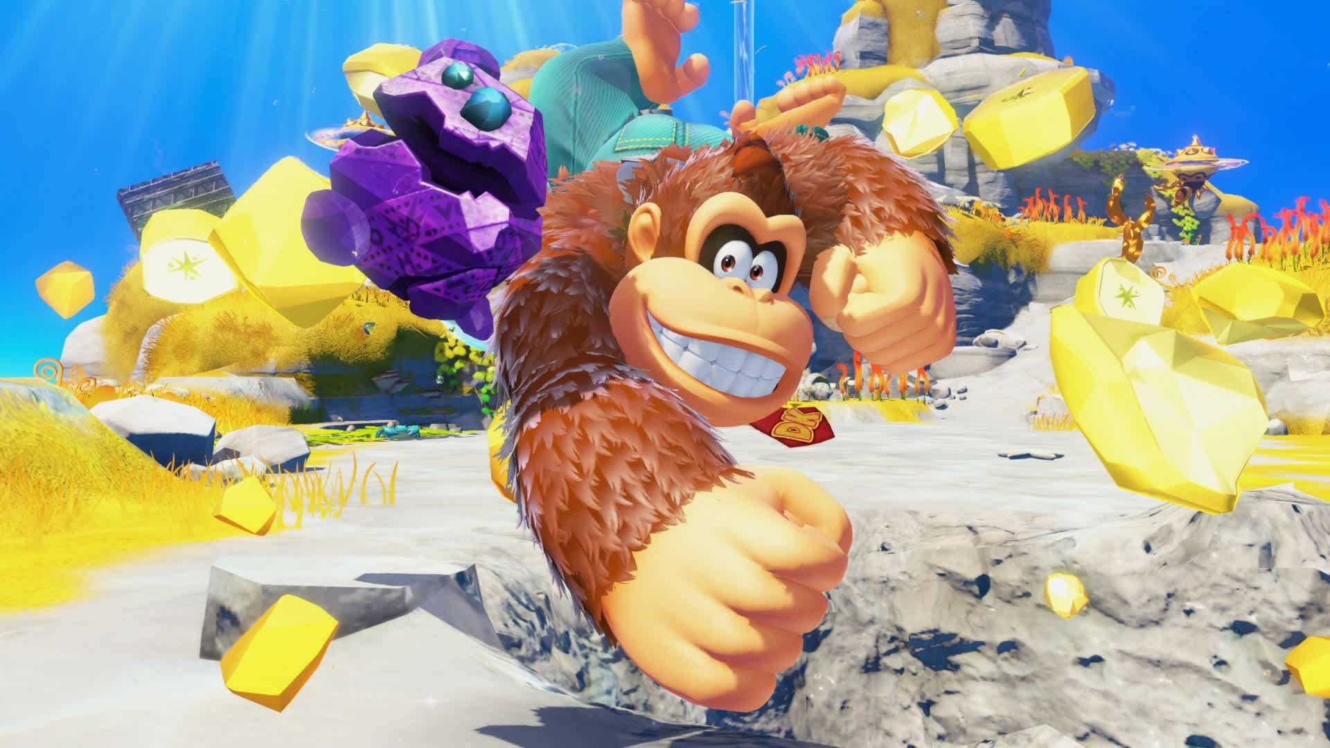 Donkey Kong uśmiecha się, zaciśnięta pięść. Żółte klejnoty i fioletowy obiekt unoszą się. Tło z wodą, ziemią i roślinami.