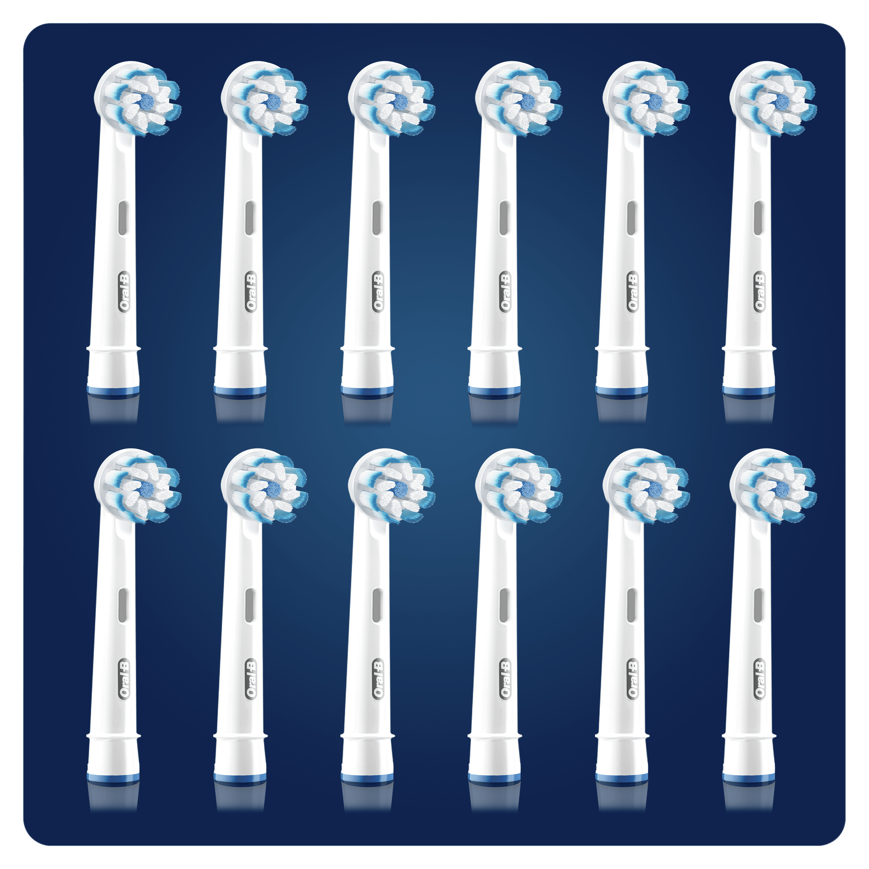 Dwanaście głowic szczoteczek Oral-B na niebieskim tle. Każda ma białe włosie z niebieskimi akcentami.