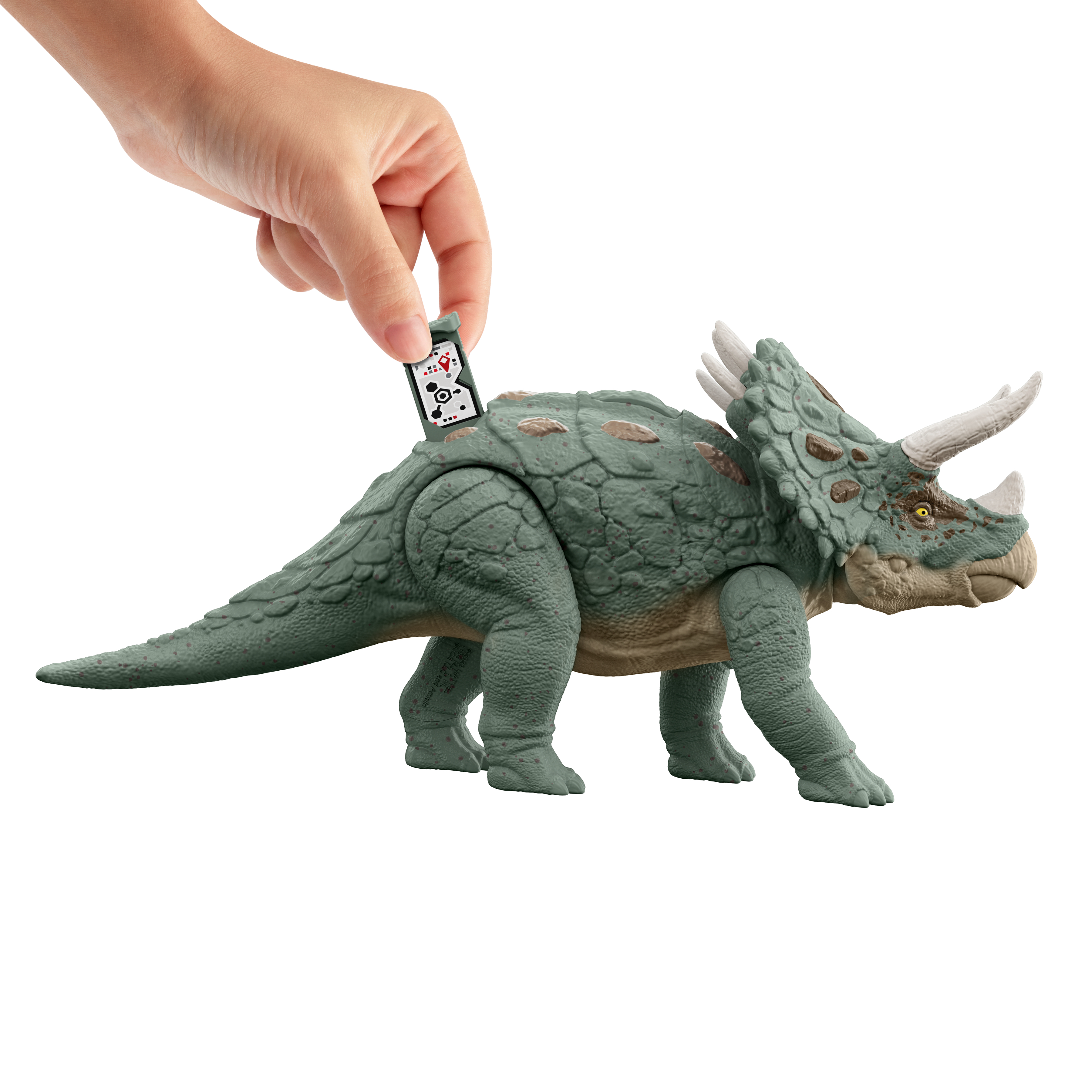 Una mano coloca una tarjeta sobre un juguete de triceratops verde. El juguete tiene cuernos y está sobre un fondo blanco.