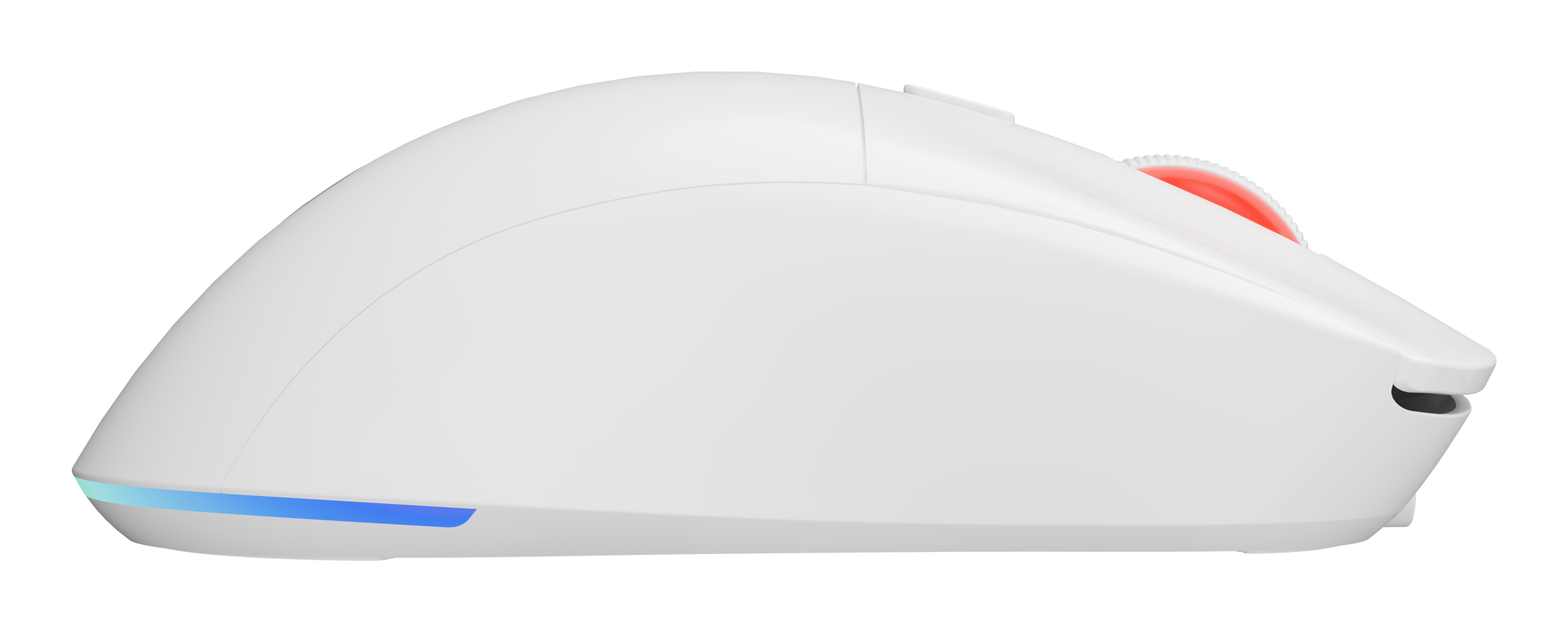 Een witte ergonomische computermuis met een rood scrollwiel. De muis heeft een blauw licht aan de onderkant.