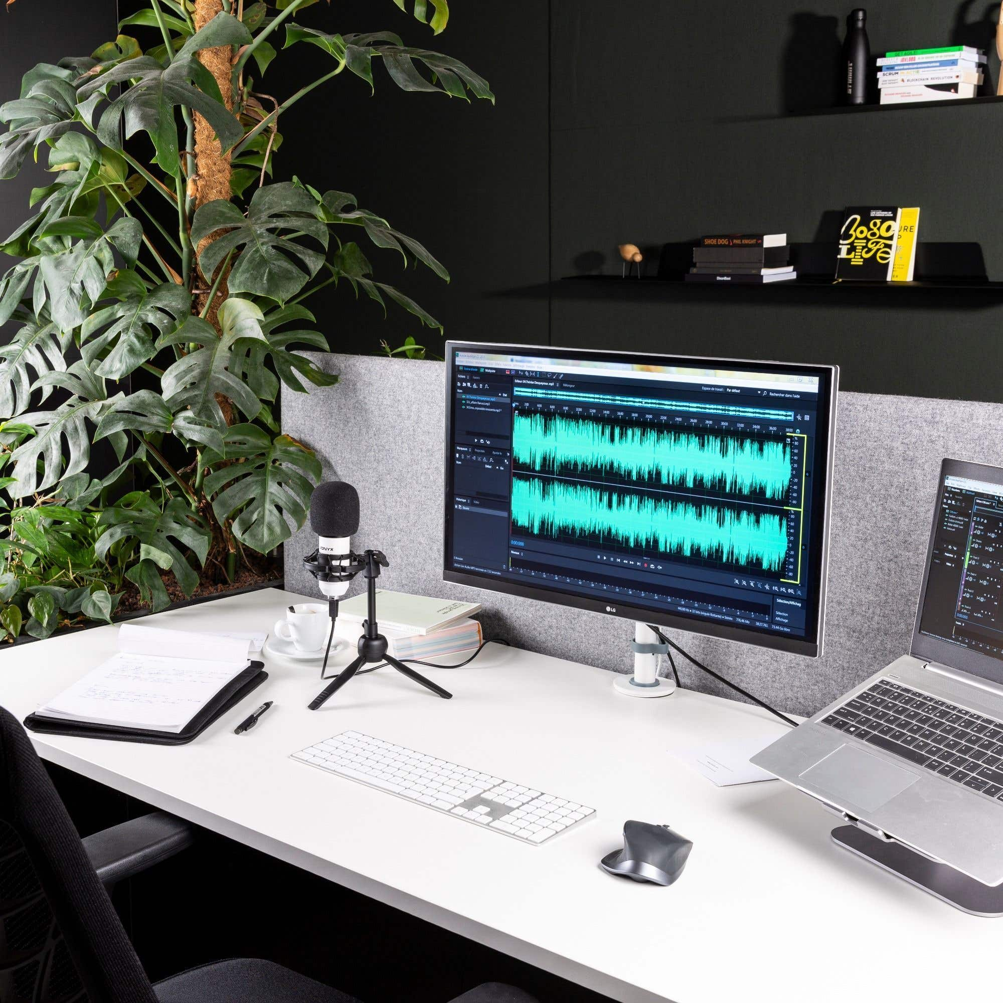Configuración de escritorio con monitor que muestra forma de onda de audio, micrófono, portátil, teclado y planta verde.