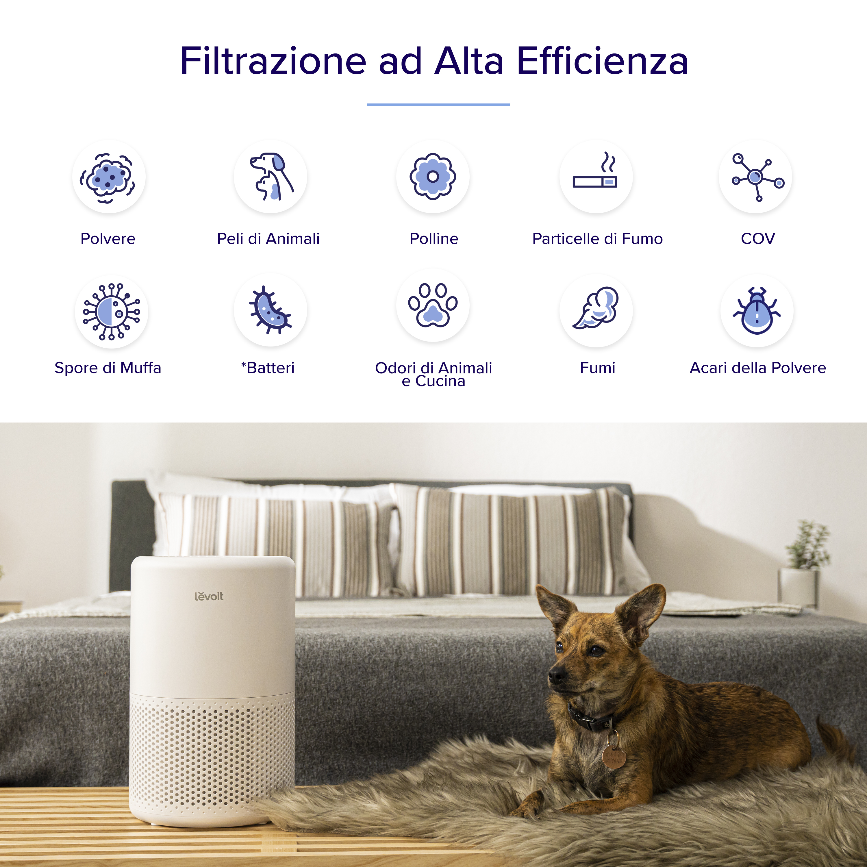 Oczyszczacz powietrza i pies na łóżku. Ikony powyżej szczegółowo opisują filtrację kurzu, pyłków i innych.