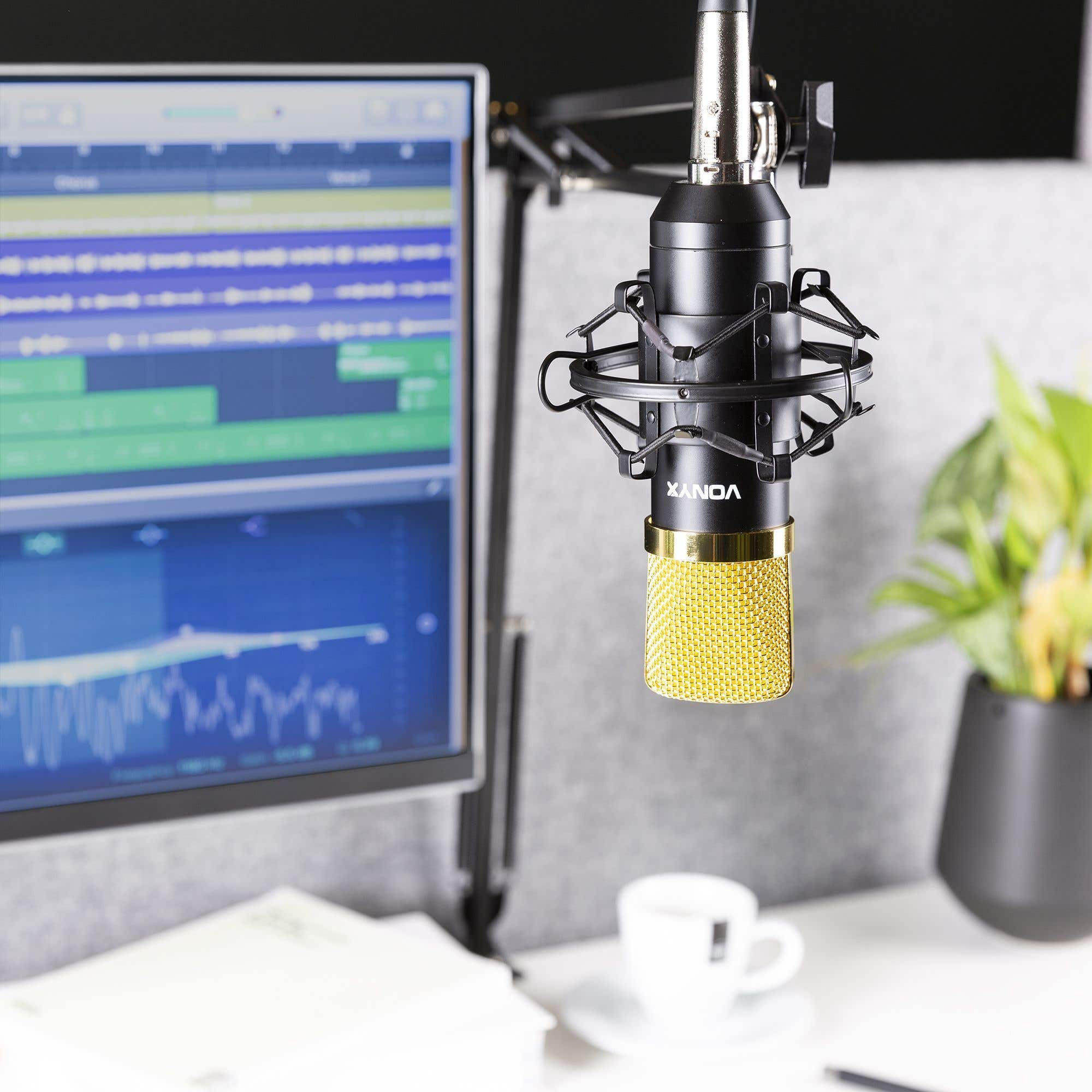 A studio setup features a gold microphone, computer display with audio waves, a cup of coffee, and a plant.