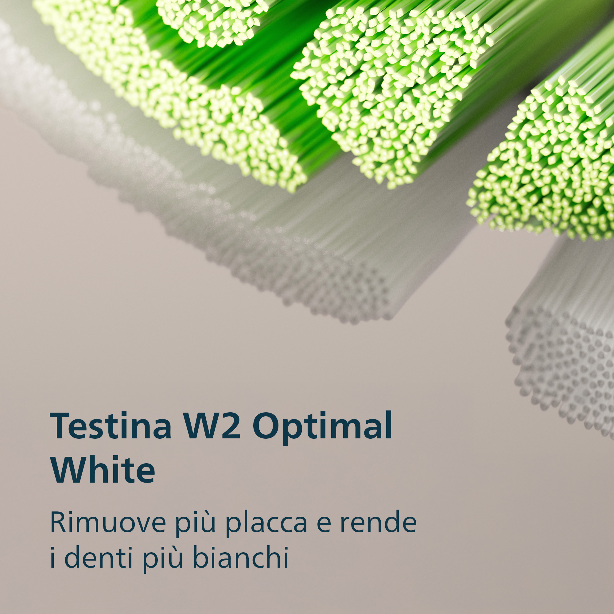 Zbliżenie główki szczoteczki do zębów z zielonym włosiem. Tekst: Testina W2 Optimal White. Usuwa płytkę nazębną i wybiela zęby.