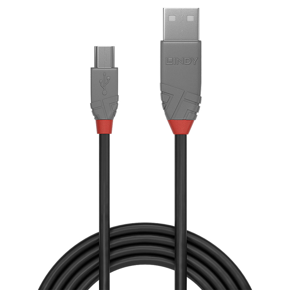 Een zwarte USB-kabel met een Type-C-connector links en USB-A rechts. Beide hebben grijze uiteinden met rode accenten.