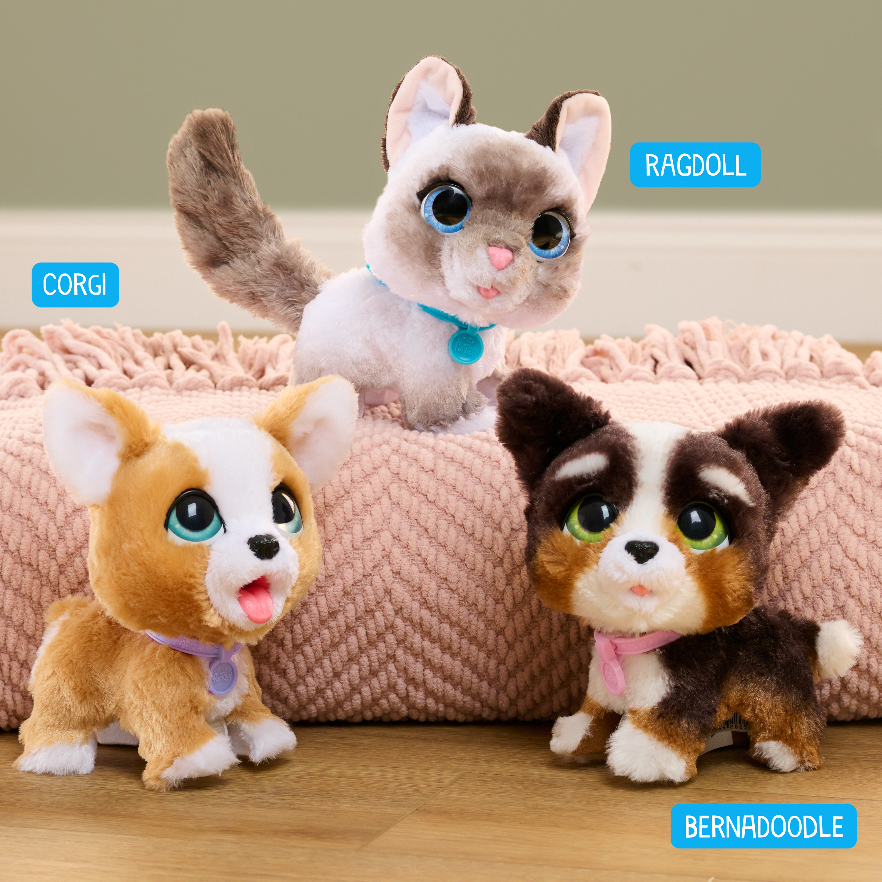 Tres animales de peluche: un Corgi, un gato Ragdoll y un Bernedoodle. Están sobre una manta rosa y un suelo de madera.