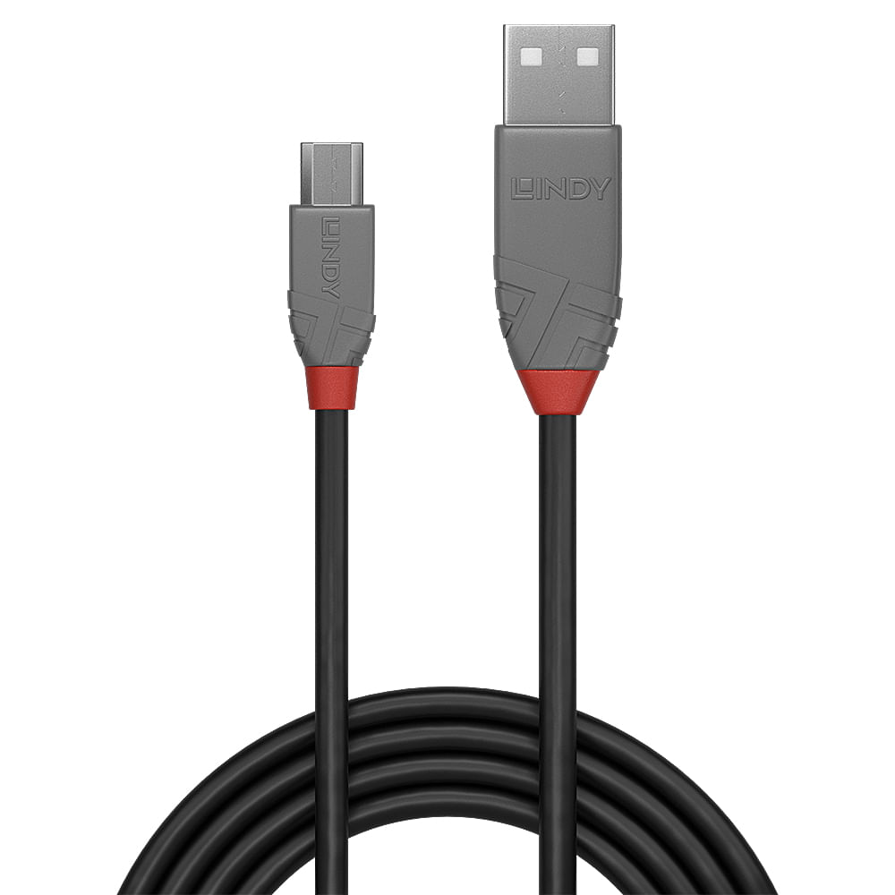 Kabel USB LINDY. Czarny z szarymi złączami. Złącza mają czerwone akcenty. Kabel jest zwinięty na dole.
