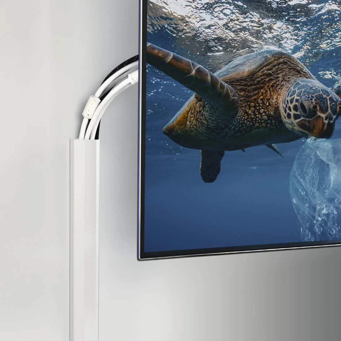 Telewizor wyświetla żółwia morskiego pod wodą z plastikową torbą. Białe kable biegną wzdłuż białej ściany.