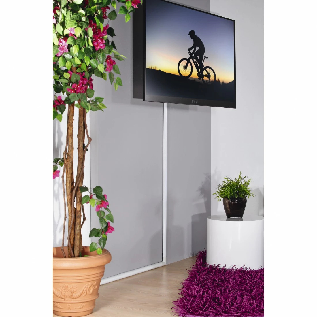 Telewizor wyświetla sylwetkę rowerzysty na tle zachodu słońca. W pokoju znajduje się roślina, mały stolik z rośliną i fioletowy dywan.