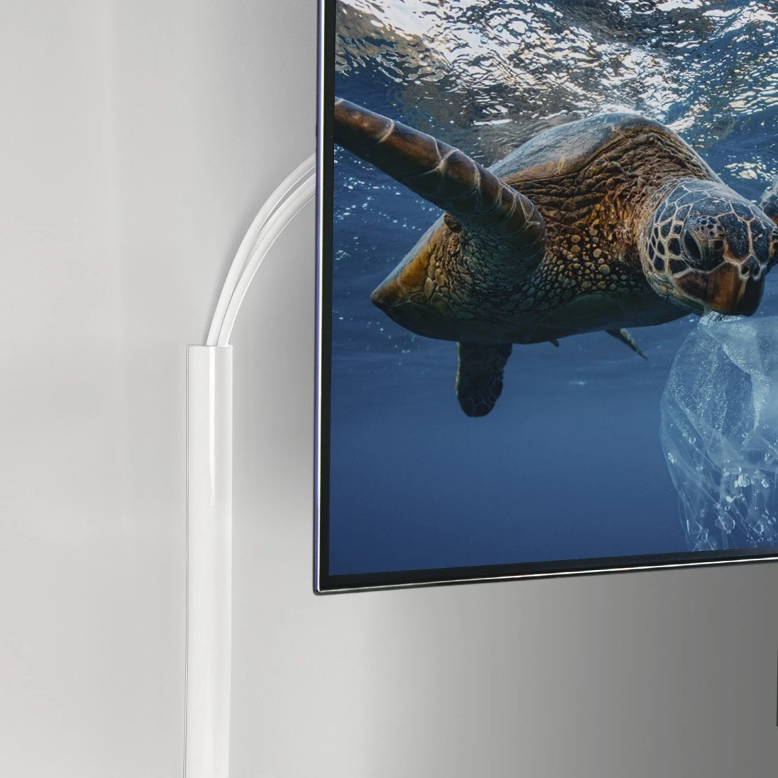 Żółw morski pływa w oceanie w pobliżu plastikowej torby. Biała osłona kabla biegnie wzdłuż białej ściany.