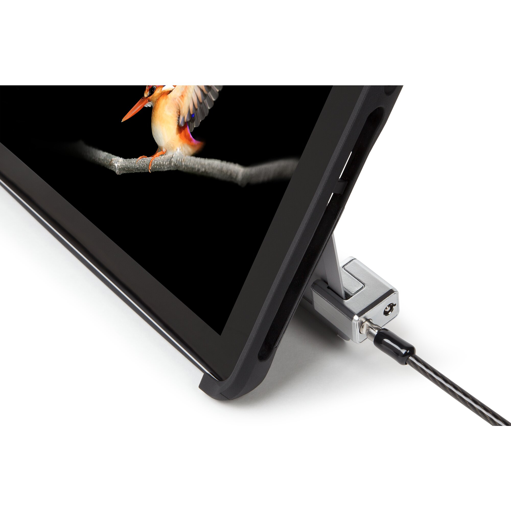 Tablet con immagine di uccello sullo schermo. Il tablet è tenuto da un supporto. Cavo nero collegato. Sfondo bianco.