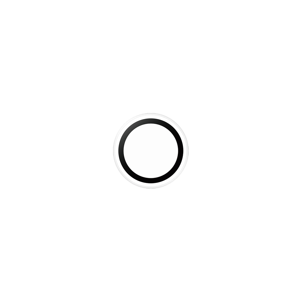 Sfondo bianco con forma circolare centrata. Il cerchio ha un centro bianco, un contorno nero e un anello esterno argentato.